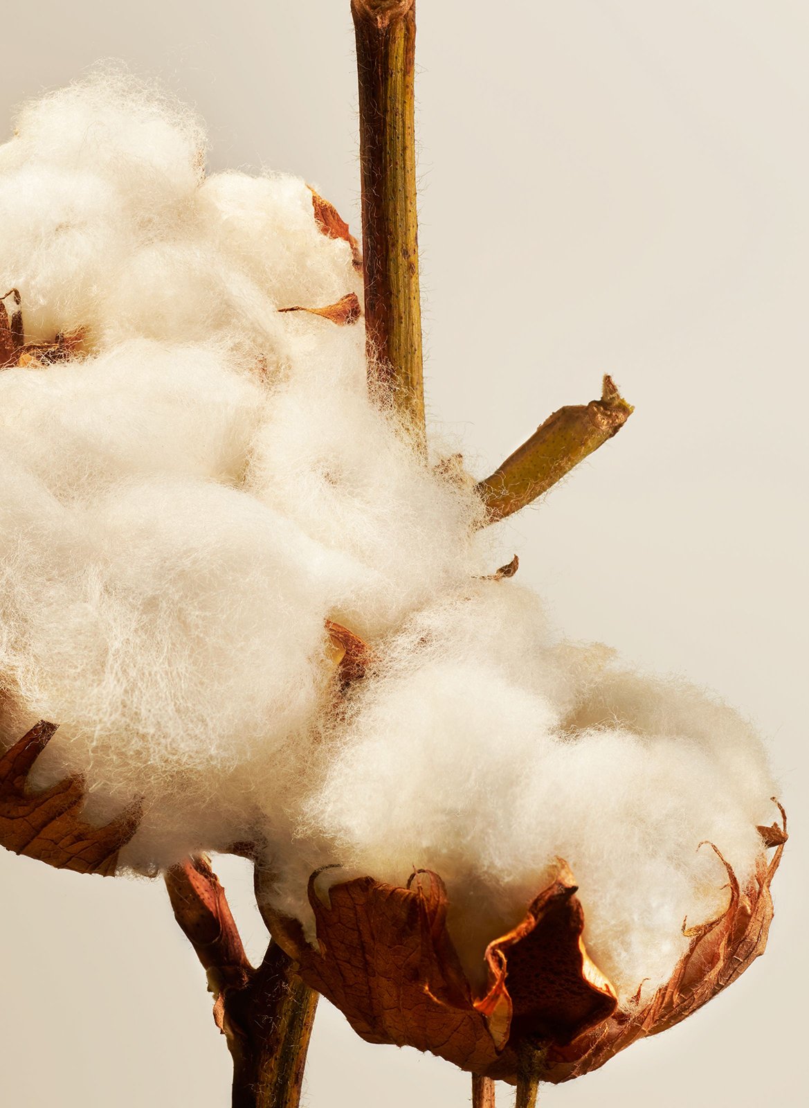 Cotton Blossom - Parfum D'Interieur RITUALS No color