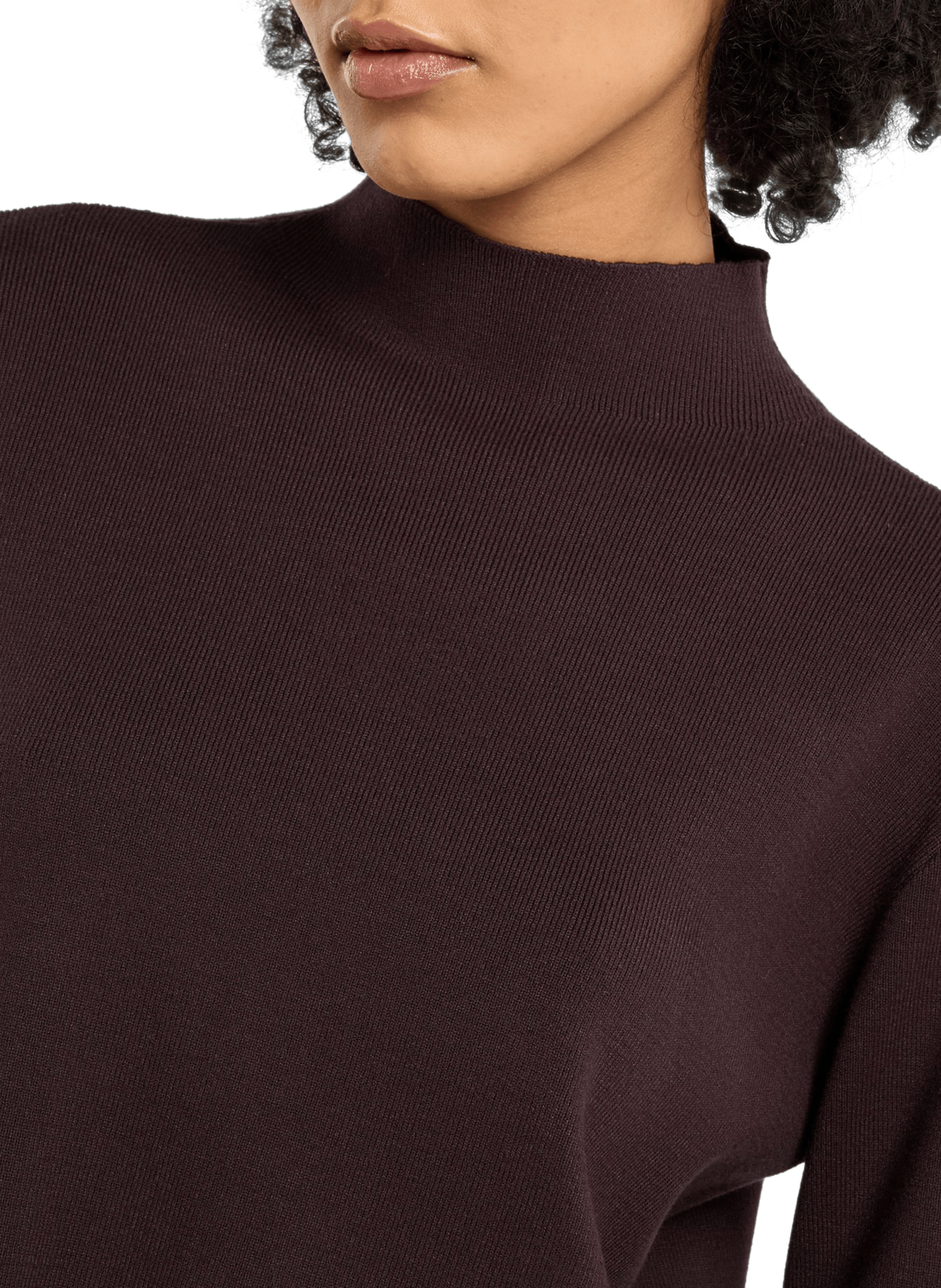 Pull Asim à col montant SAISON 1865 Marron