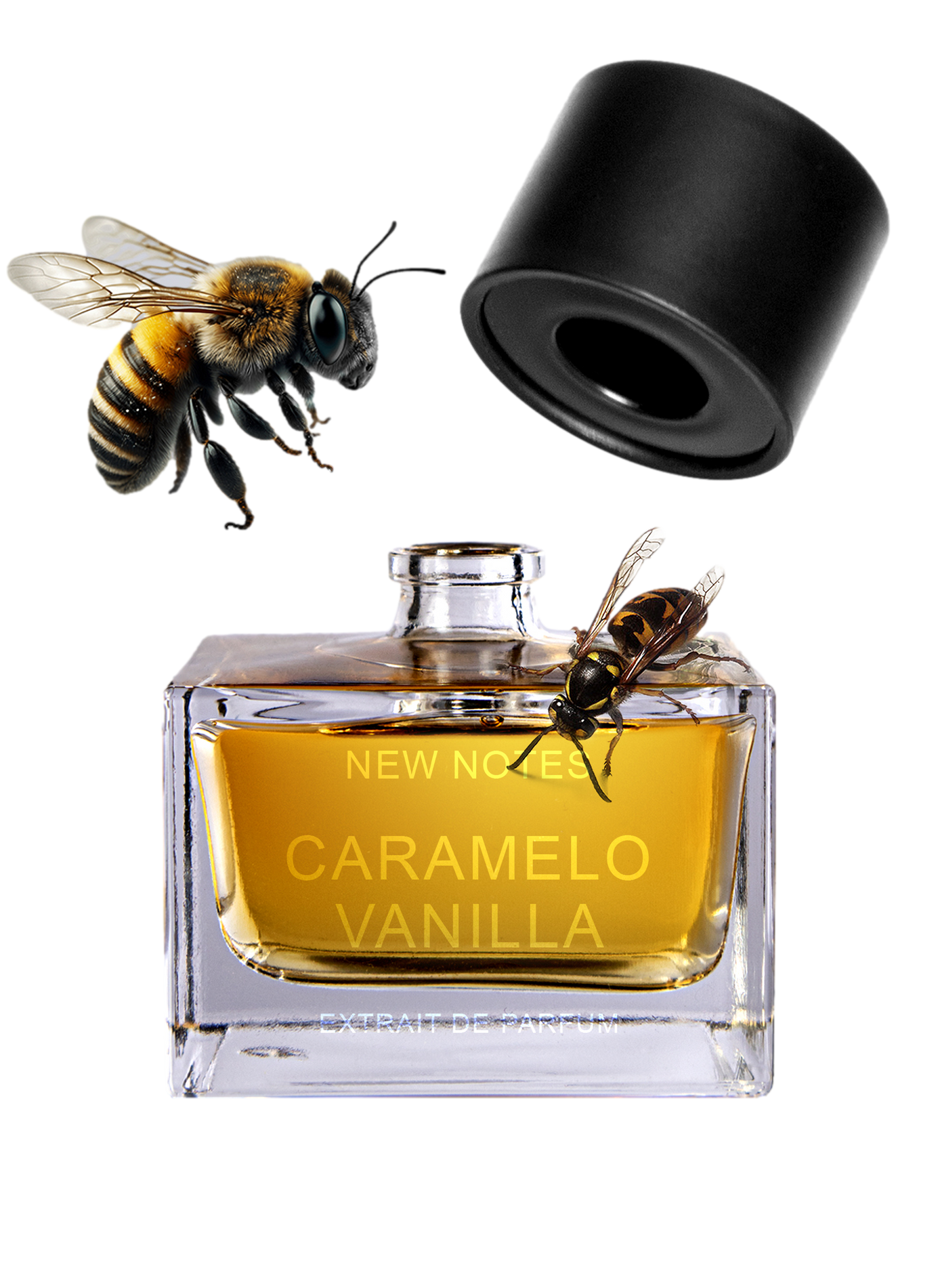 Caramelo Vanilla - Extrait de Parfum NEW NOTES No color