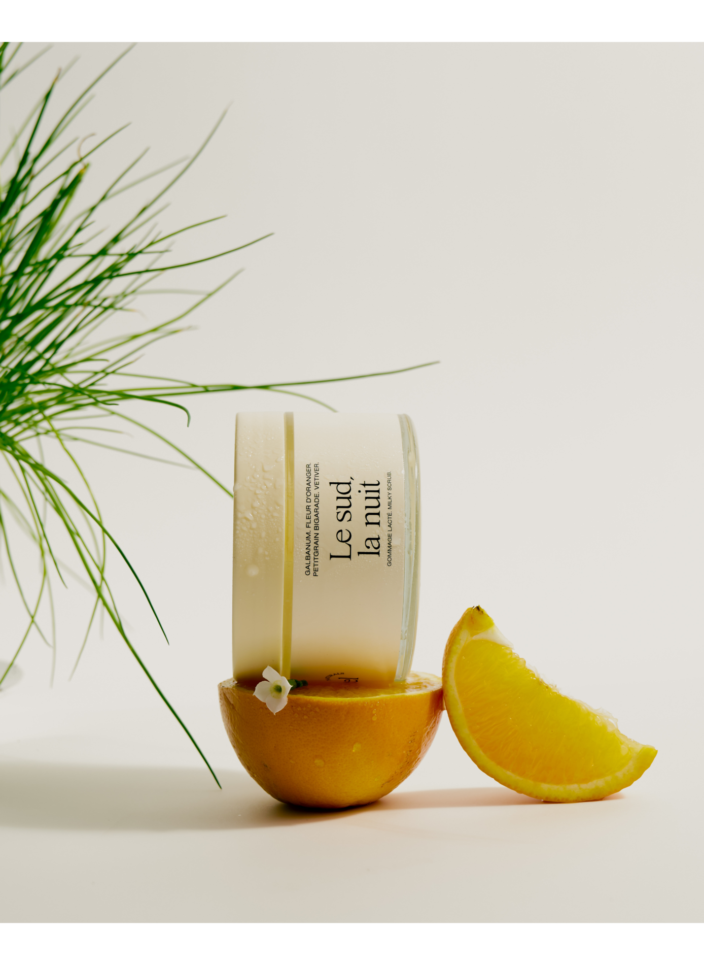 Exfoliante cremoso - El sur, la noche REFEEL NATURALS No color