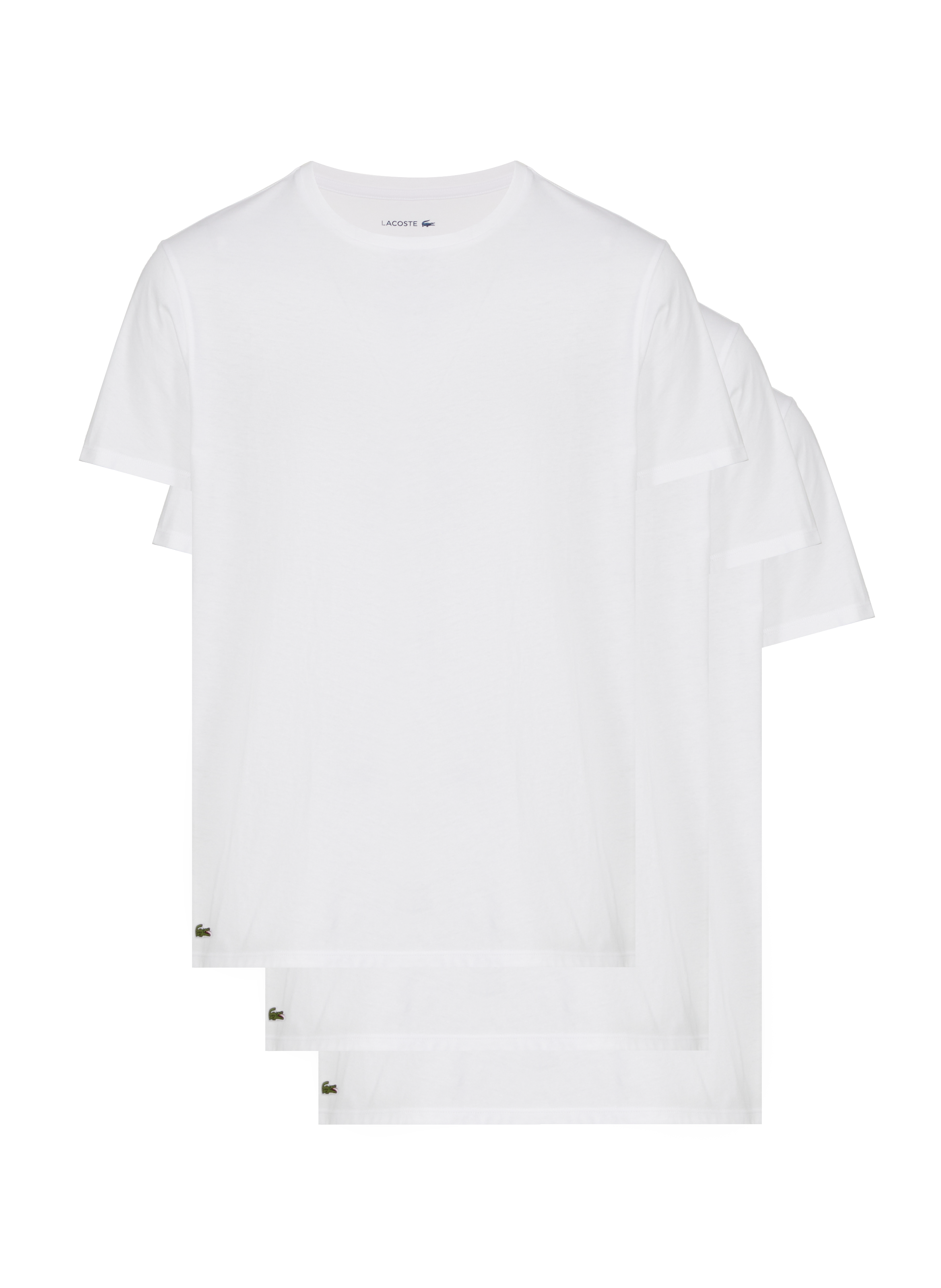 Set of 3 cotton t-shirts LACOSTE White