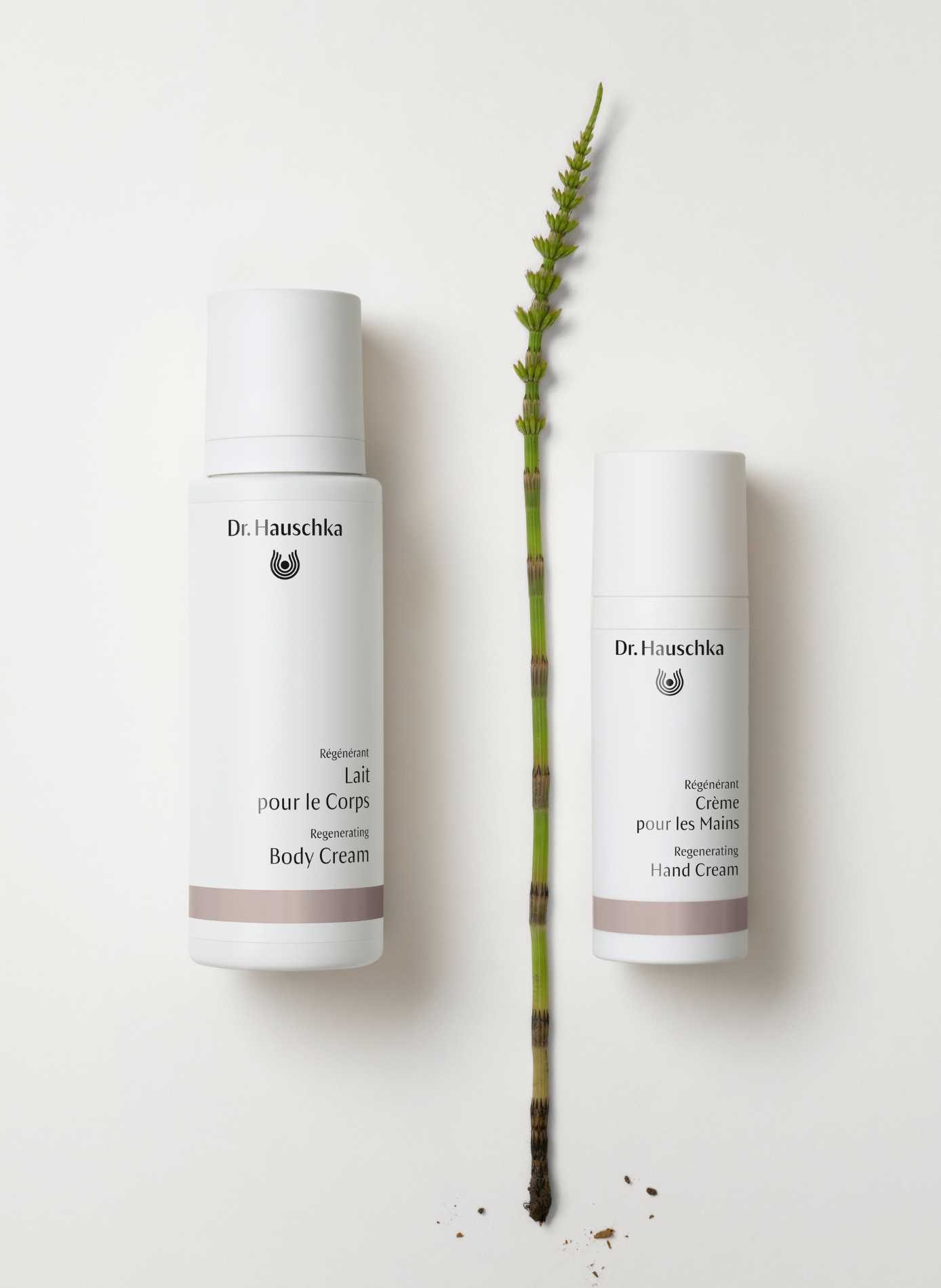 Regenerierende Handcreme DR HAUSCHKA No color