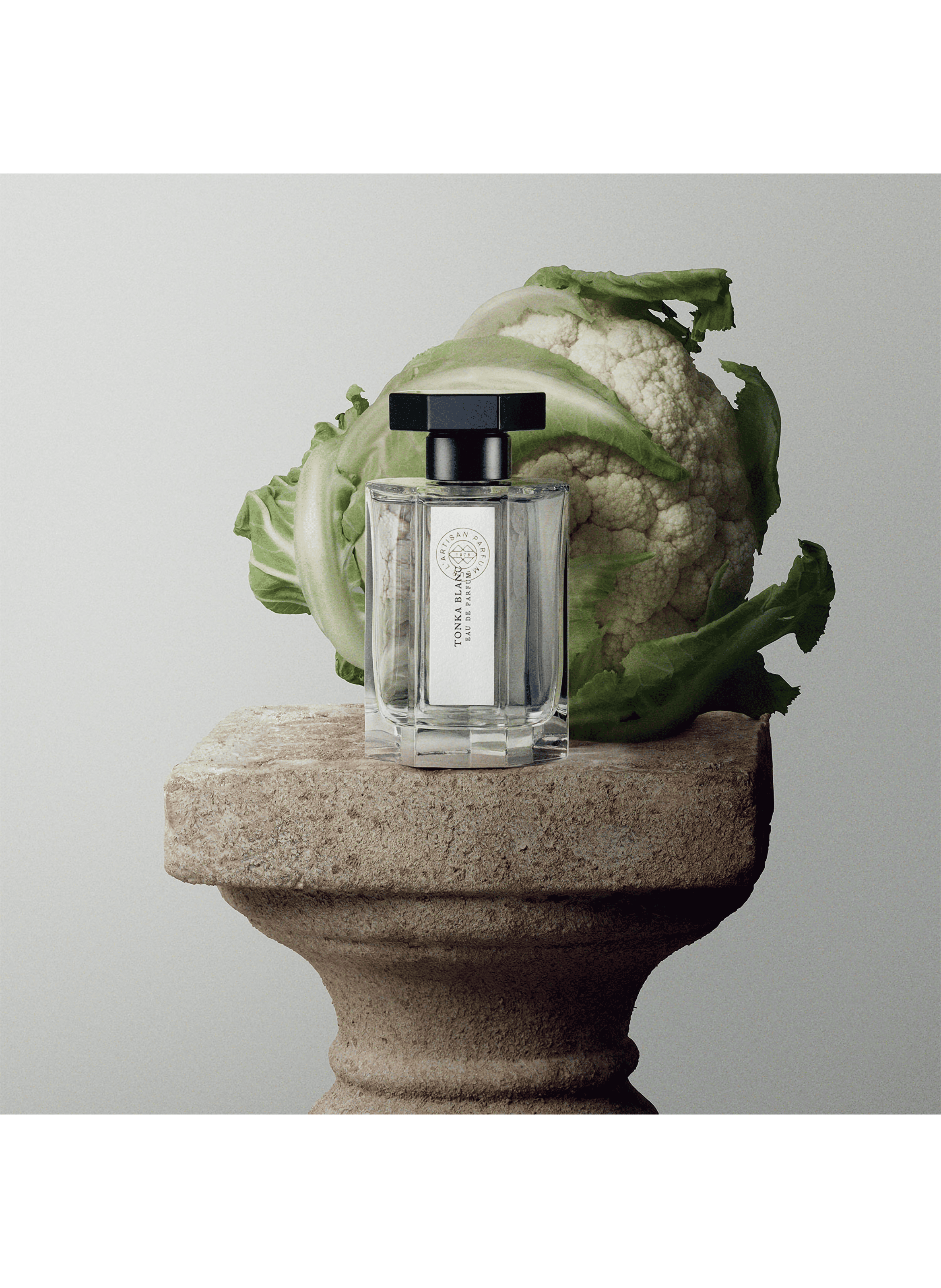 Tonka Blanc - Eau de cologne L'ARTISAN PARFUMEUR No color