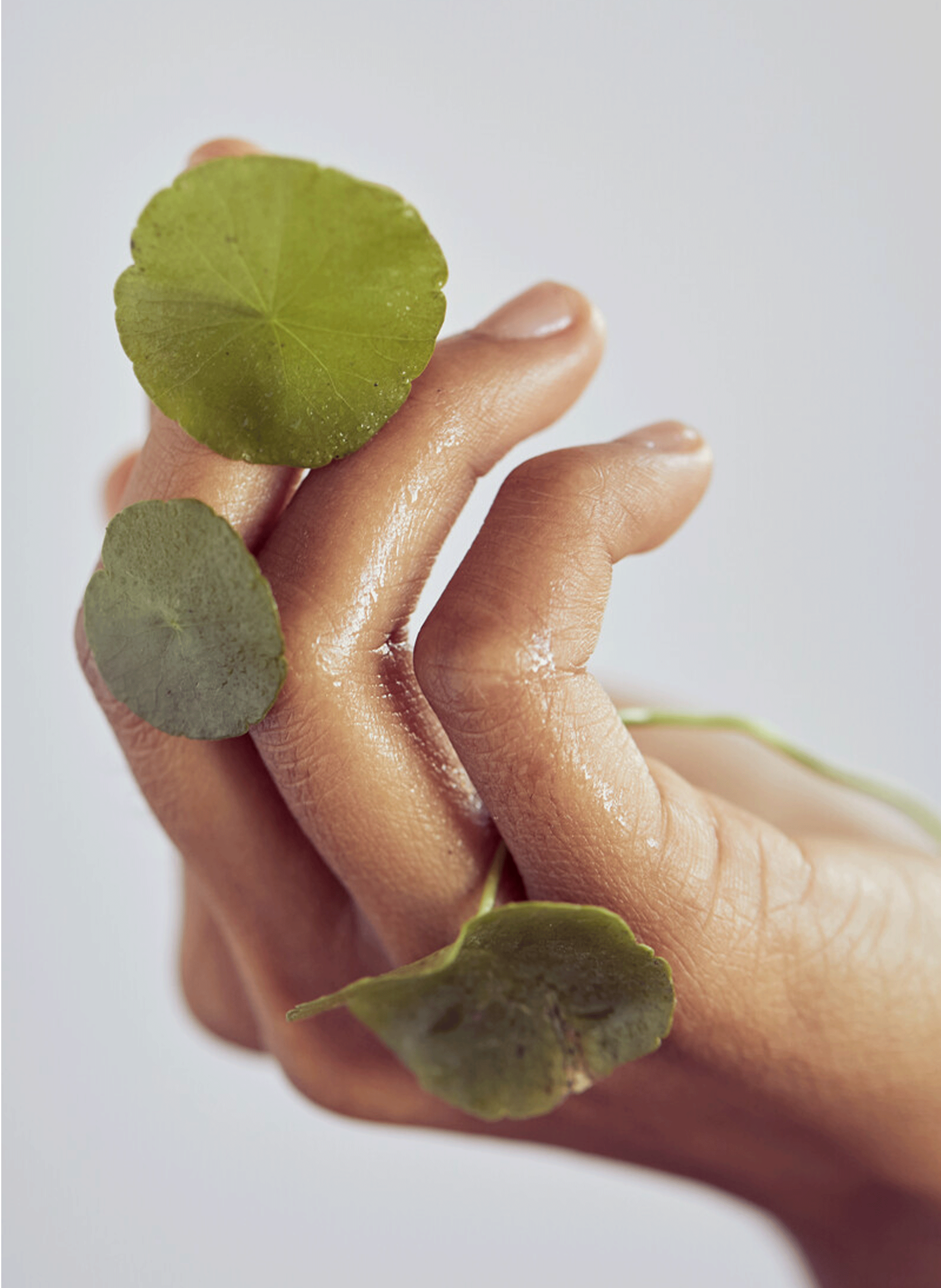 Centella Cleansing Oil ERBORIAN No color