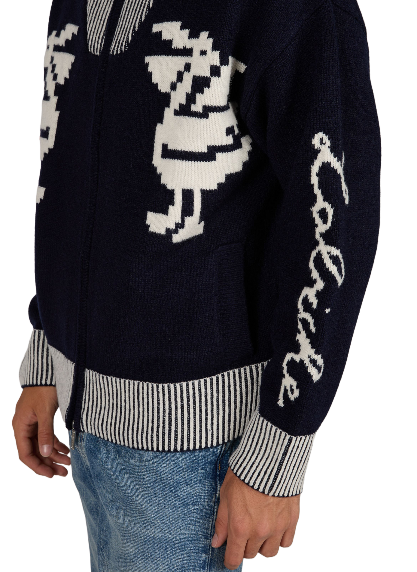 Weiter Woll-Cardigan mit Stehkragen und Reißverschluss MAISON LABICHE Mehrfarbig