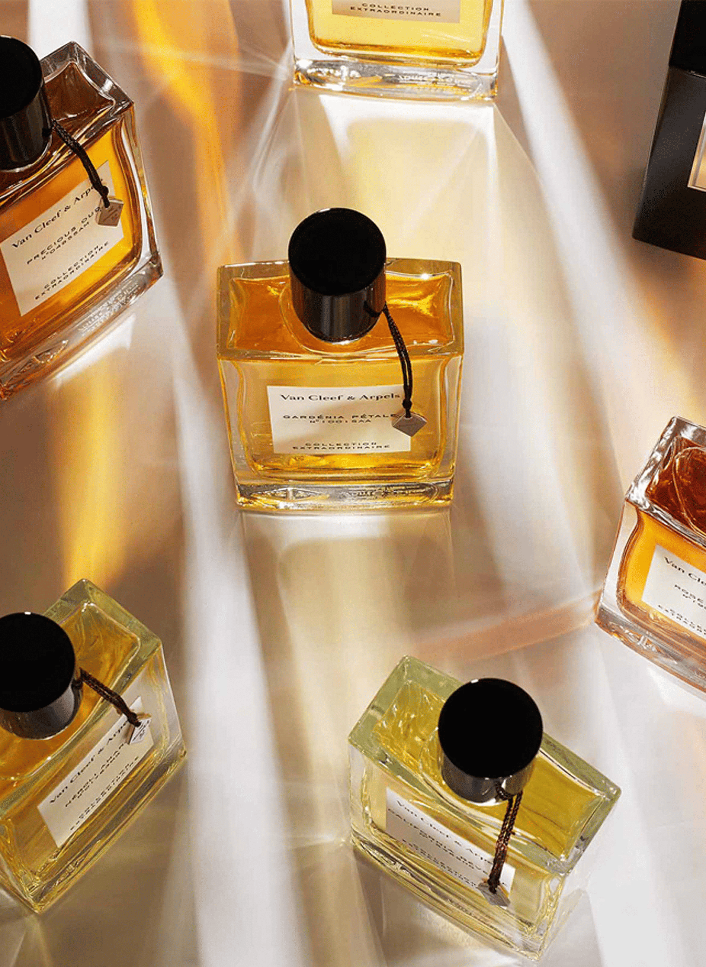 Silk Musk - Eau de Parfum VAN CLEEF & ARPELS No color