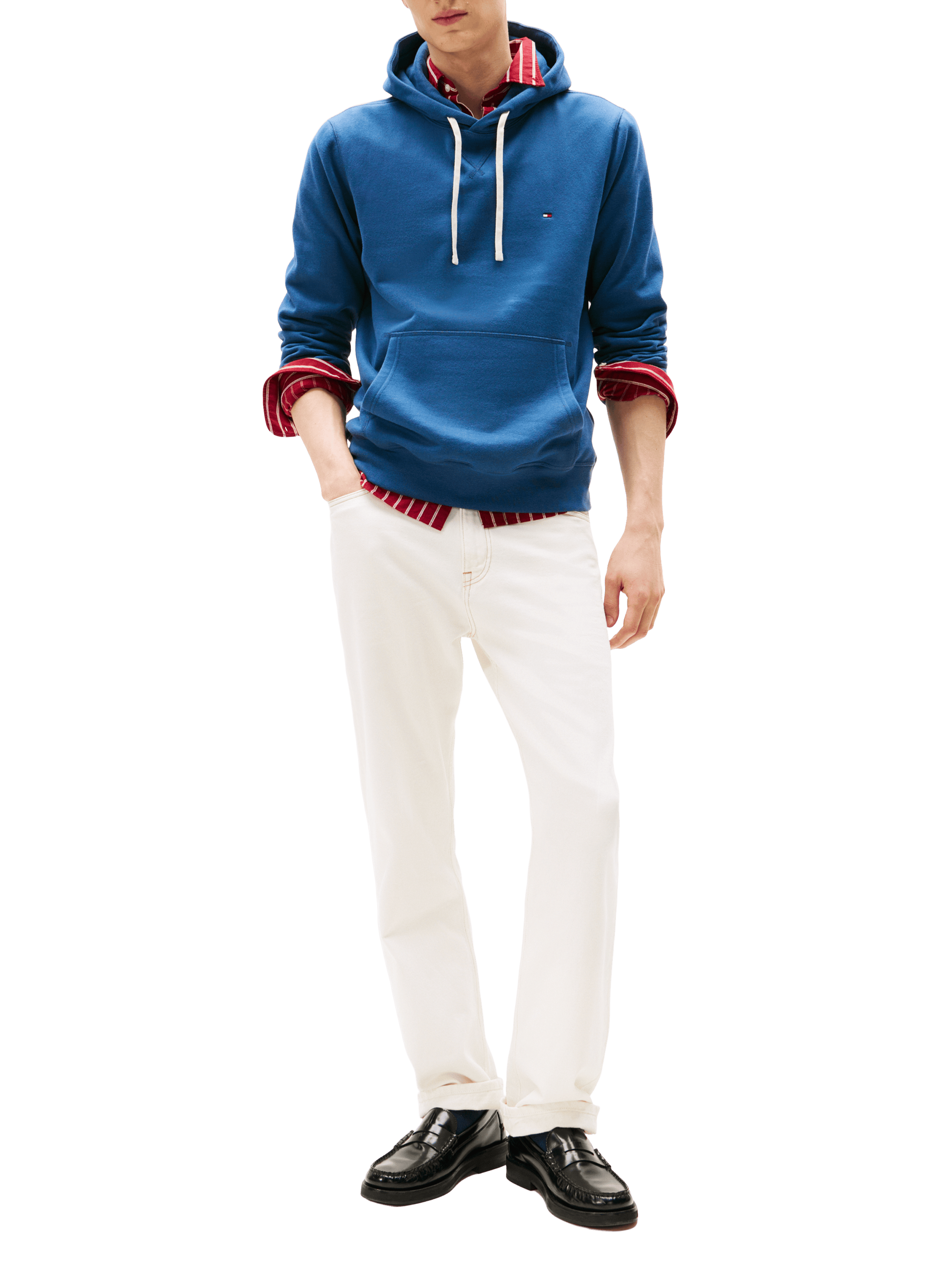 Fleece hoodie TOMMY HILFIGER Blue