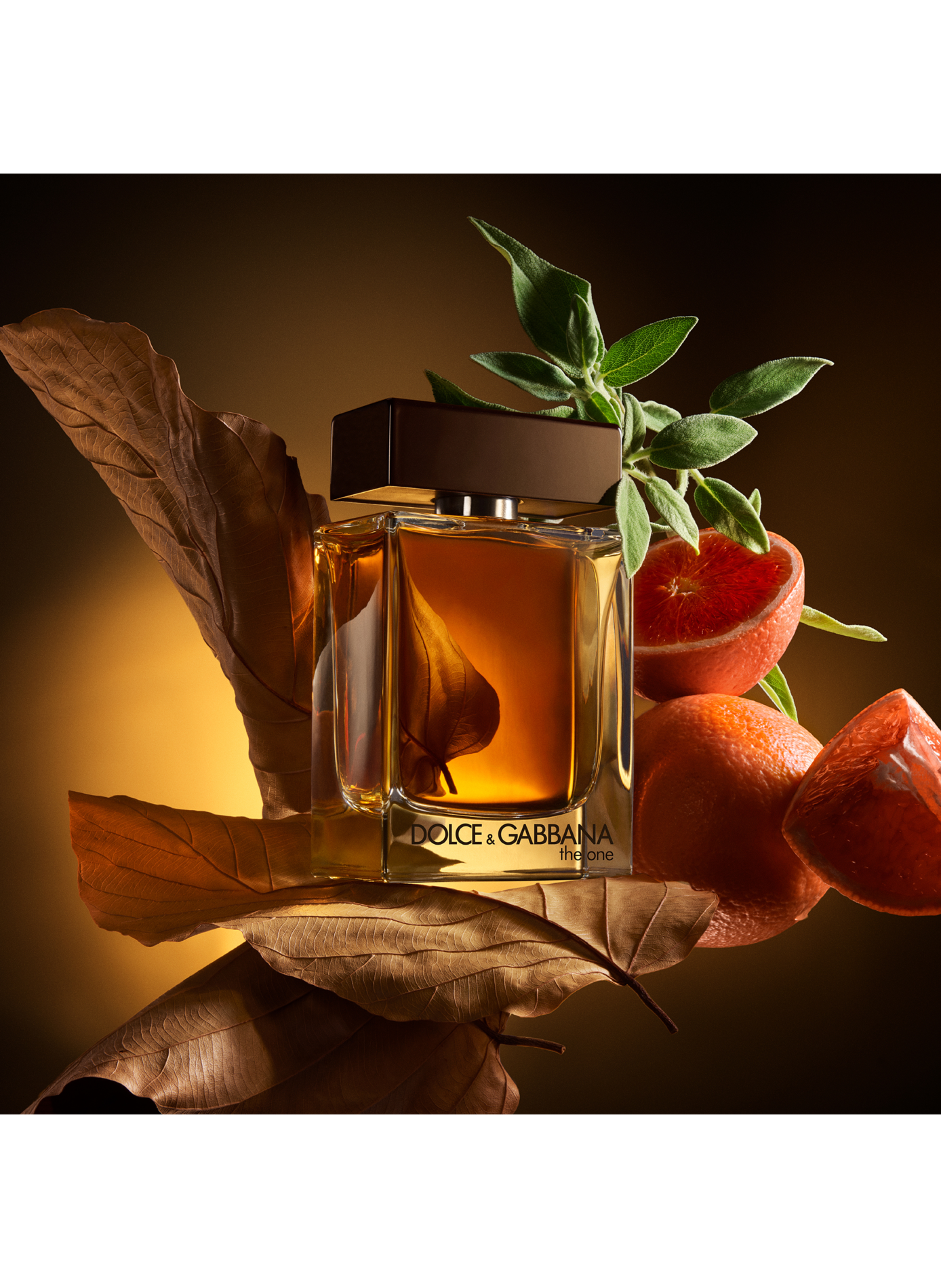 The One für Männer - Eau de Parfum DOLCE & GABBANA No color
