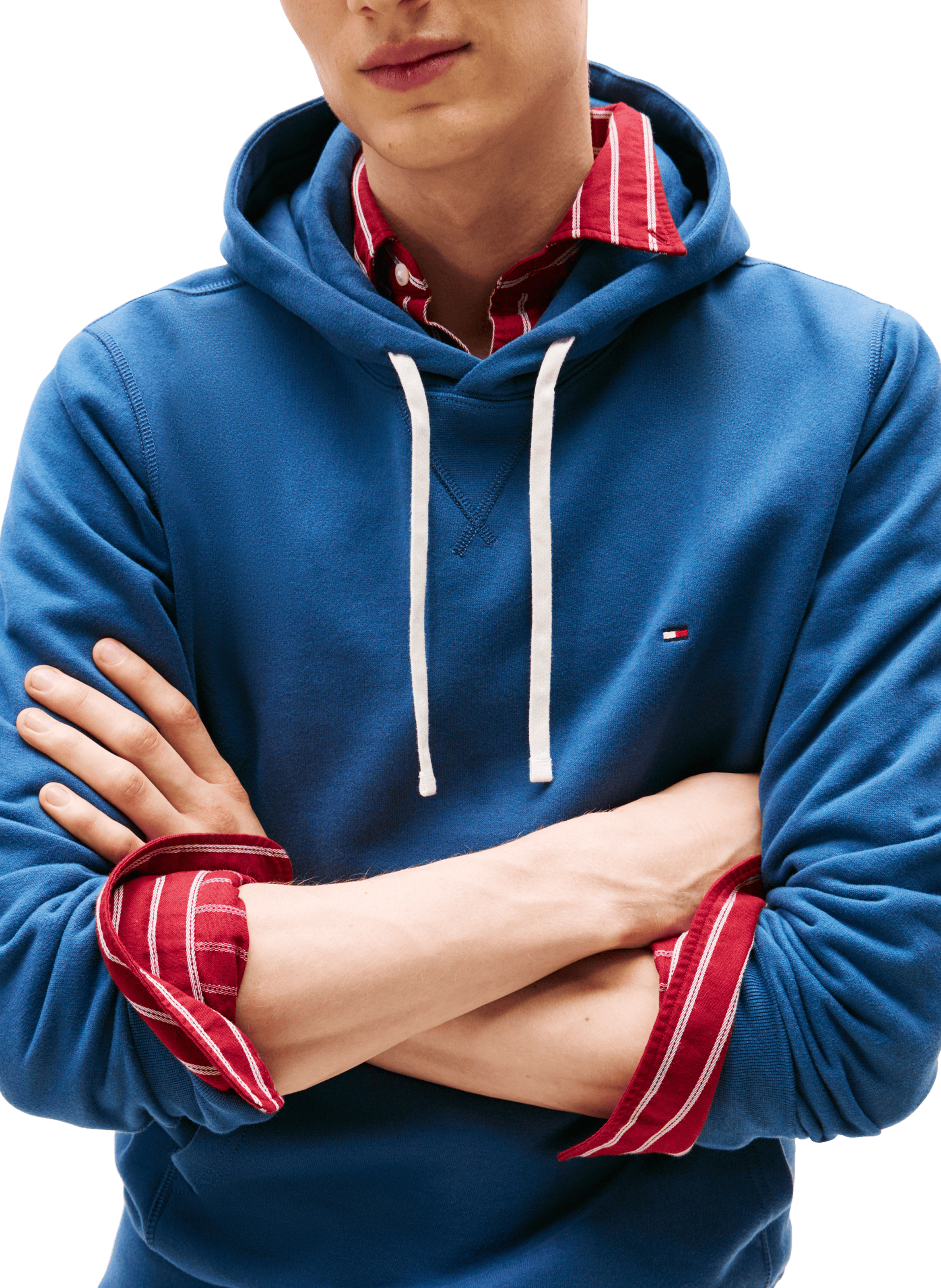 Fleece hoodie TOMMY HILFIGER Blue