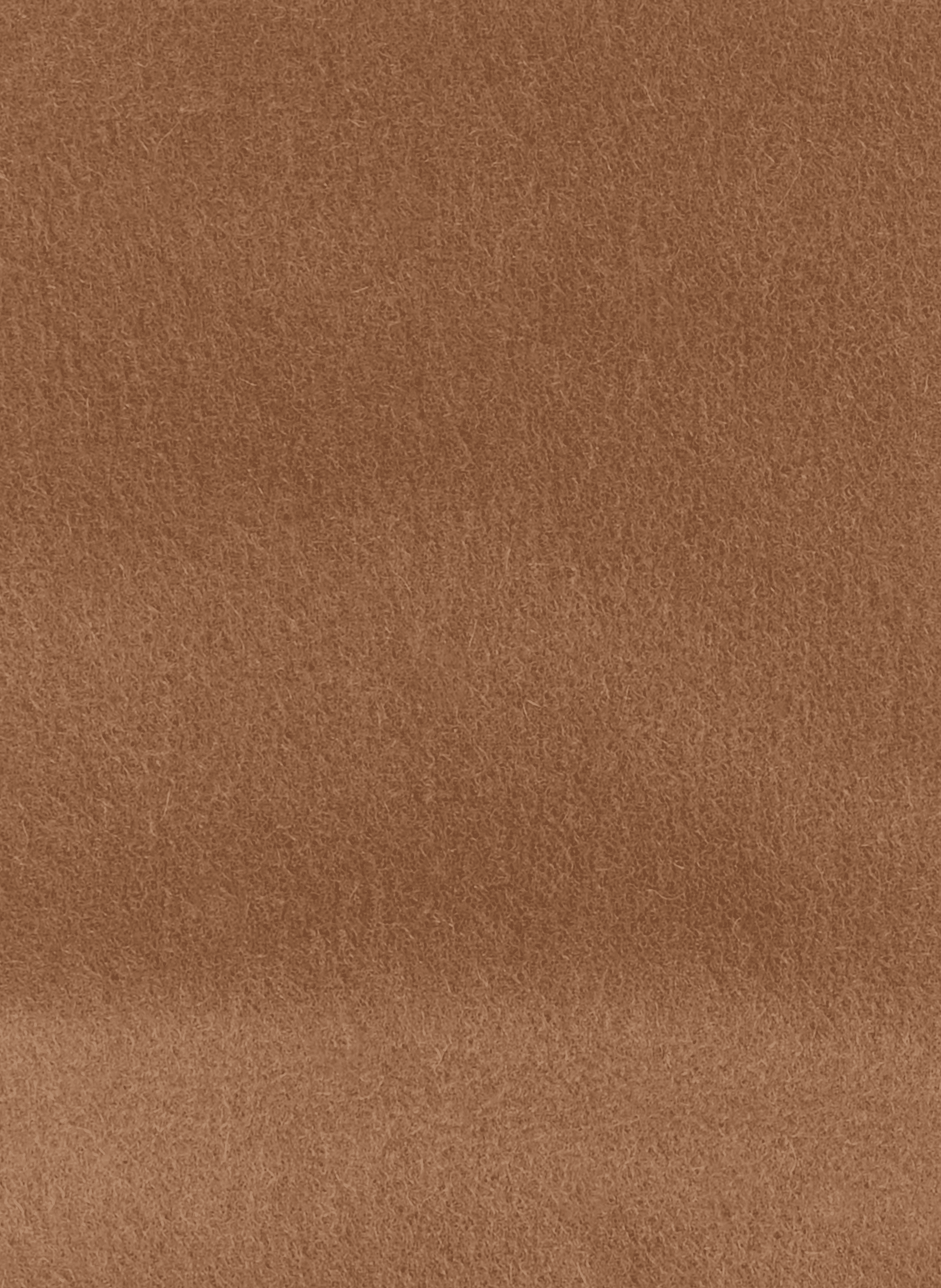 Solid cashmere scarf SAISON 1865 Brown