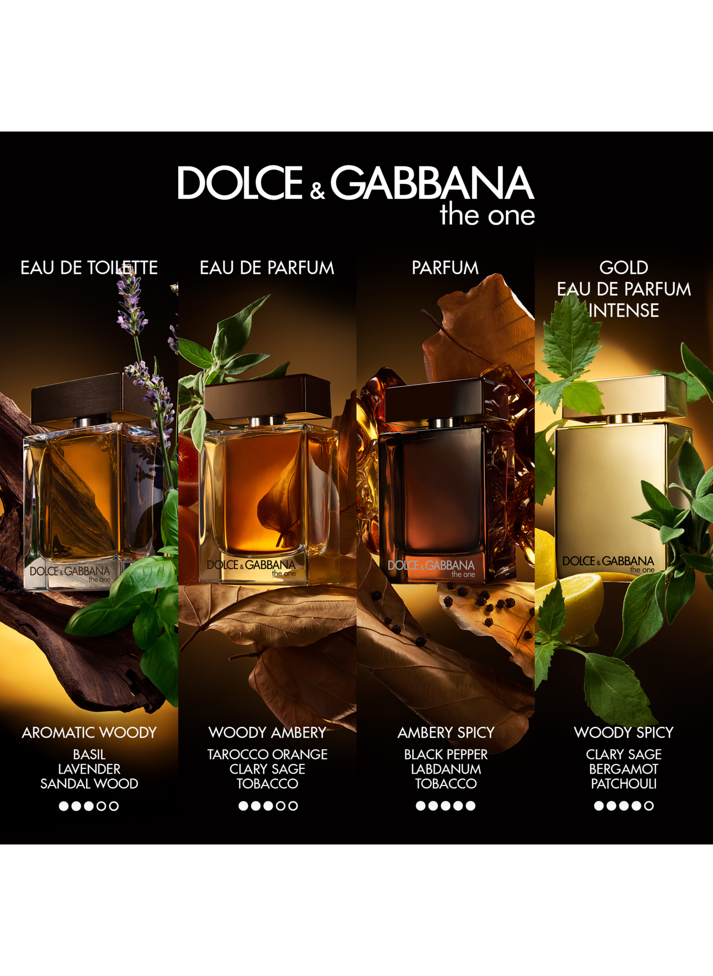The One for Men - Eau de Toilette DOLCE & GABBANA No color