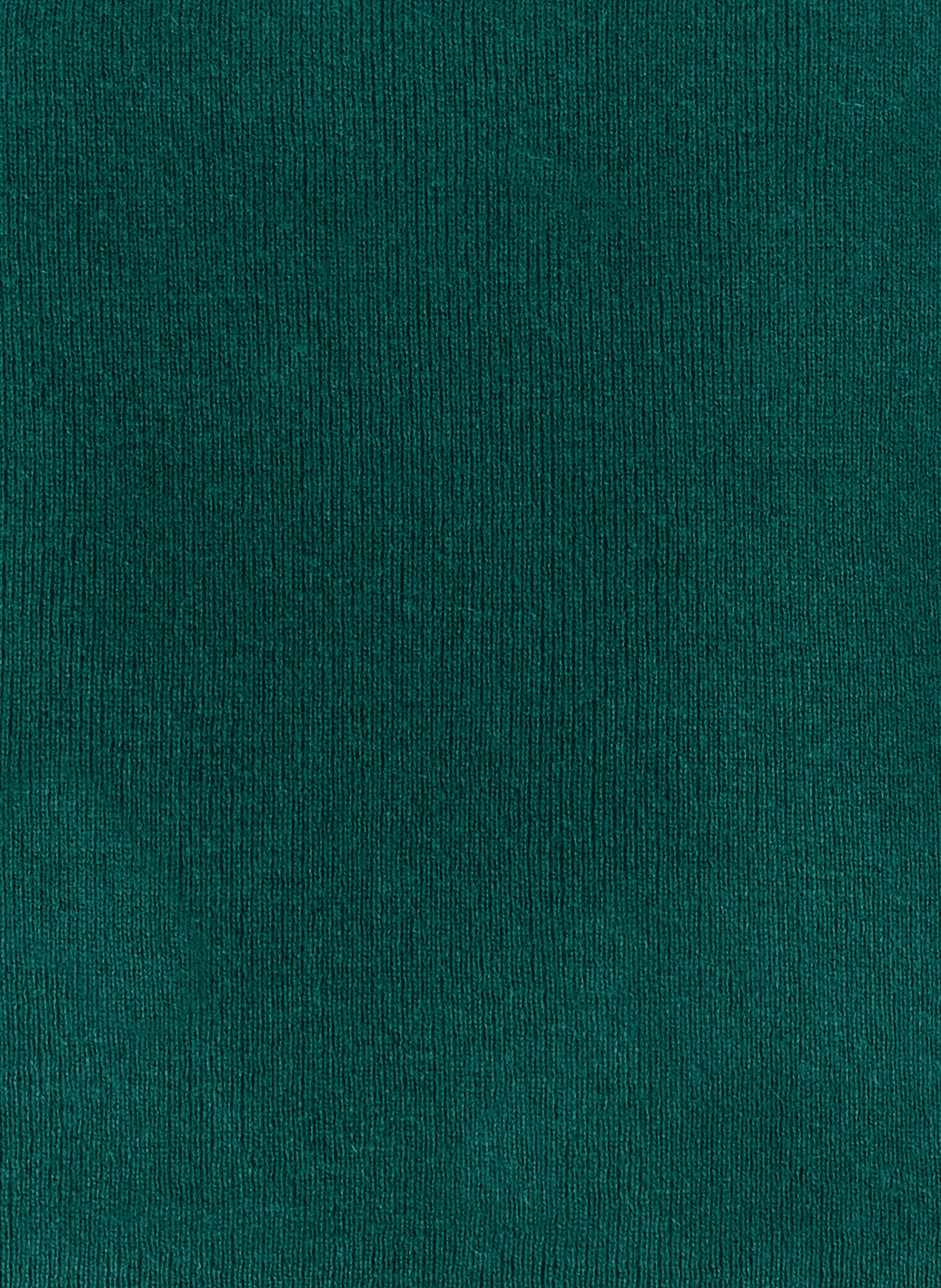 Cashmere Scarf SAISON 1865 Green