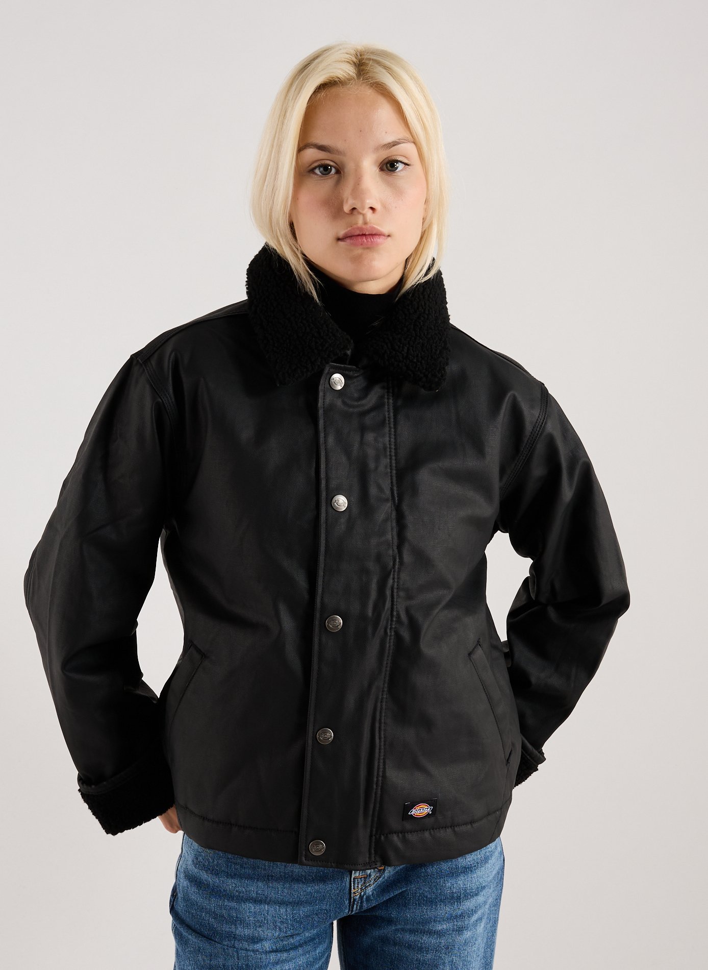 DICKIES Jacket with classic cotton collar Black