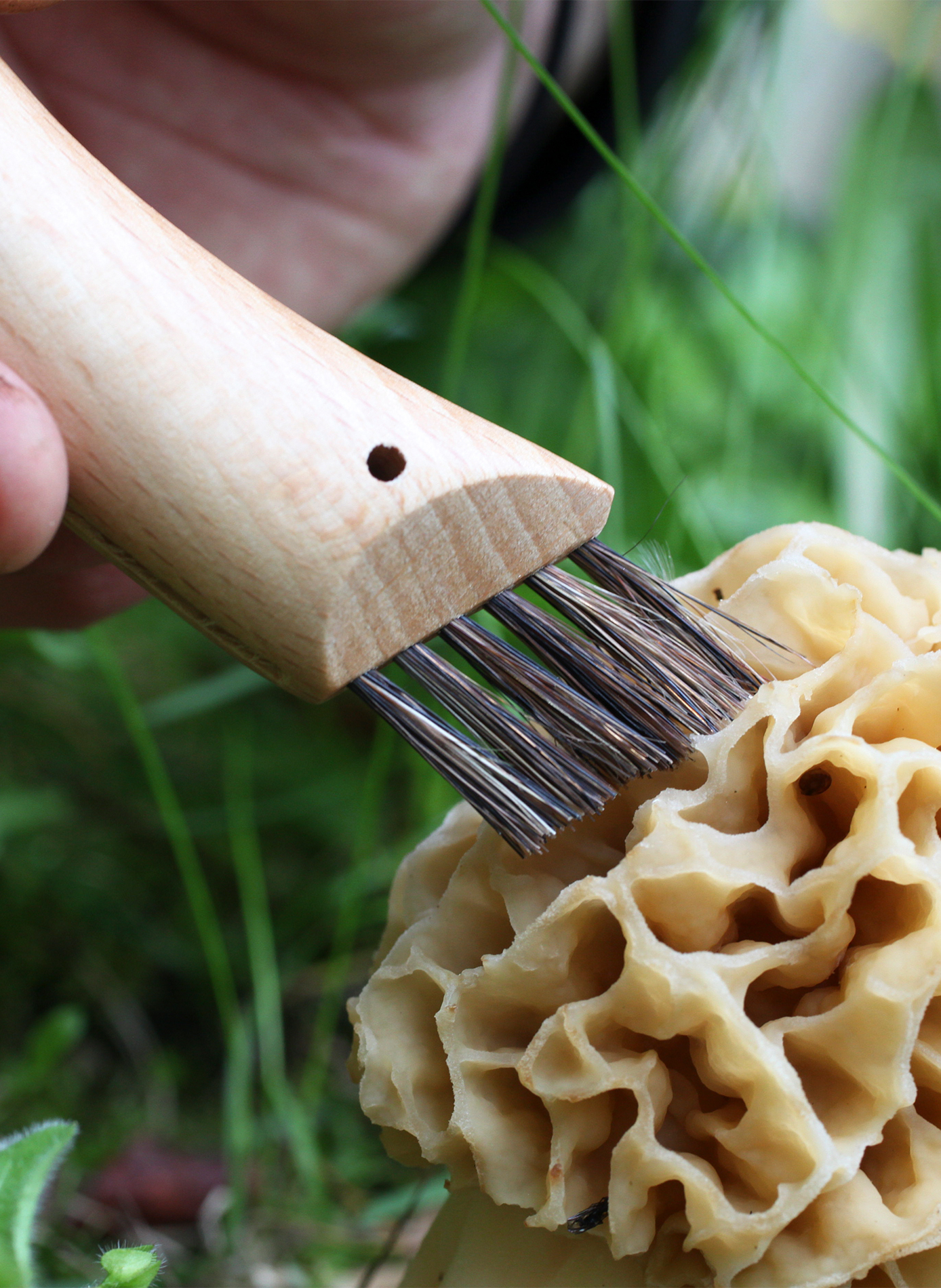 Couteau à champignon en acier inoxydable OPINEL Beige