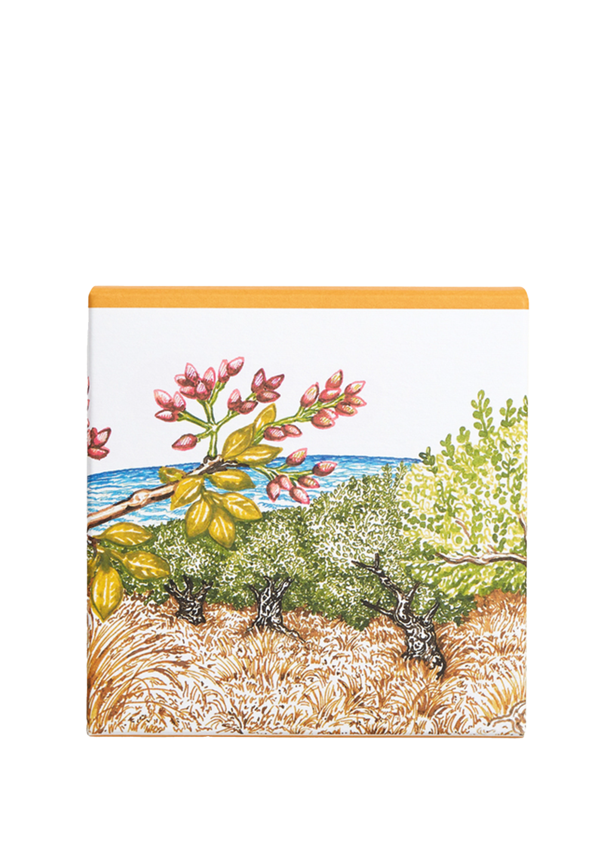 A Garden in Cythera - Scented Soap HERMÈS No color