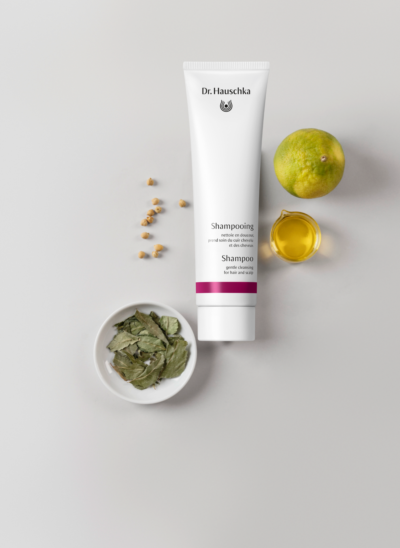 Shampoo DR HAUSCHKA No color