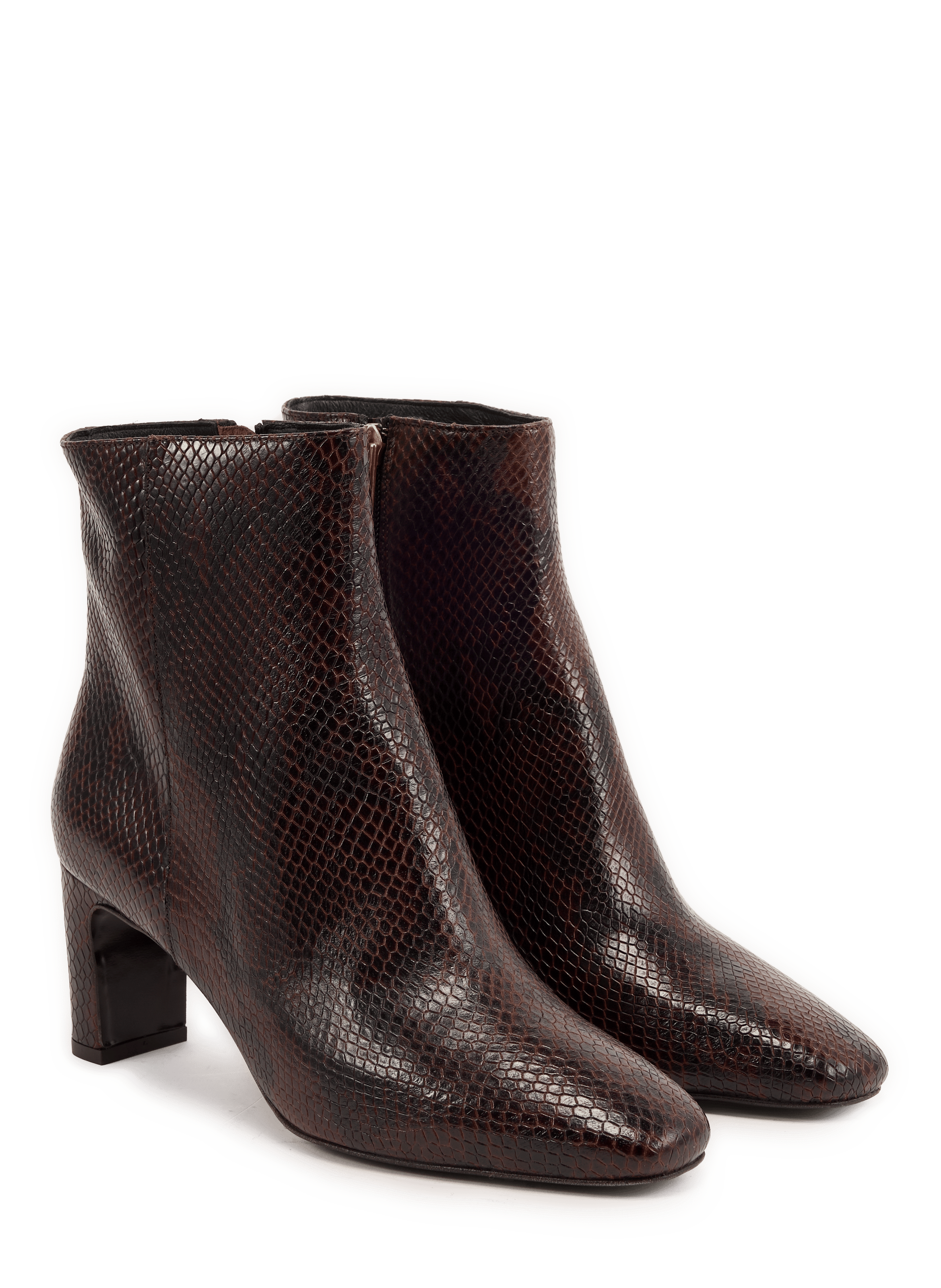 Gia cowhide leather ankle boots SAISON 1865 Multicolour