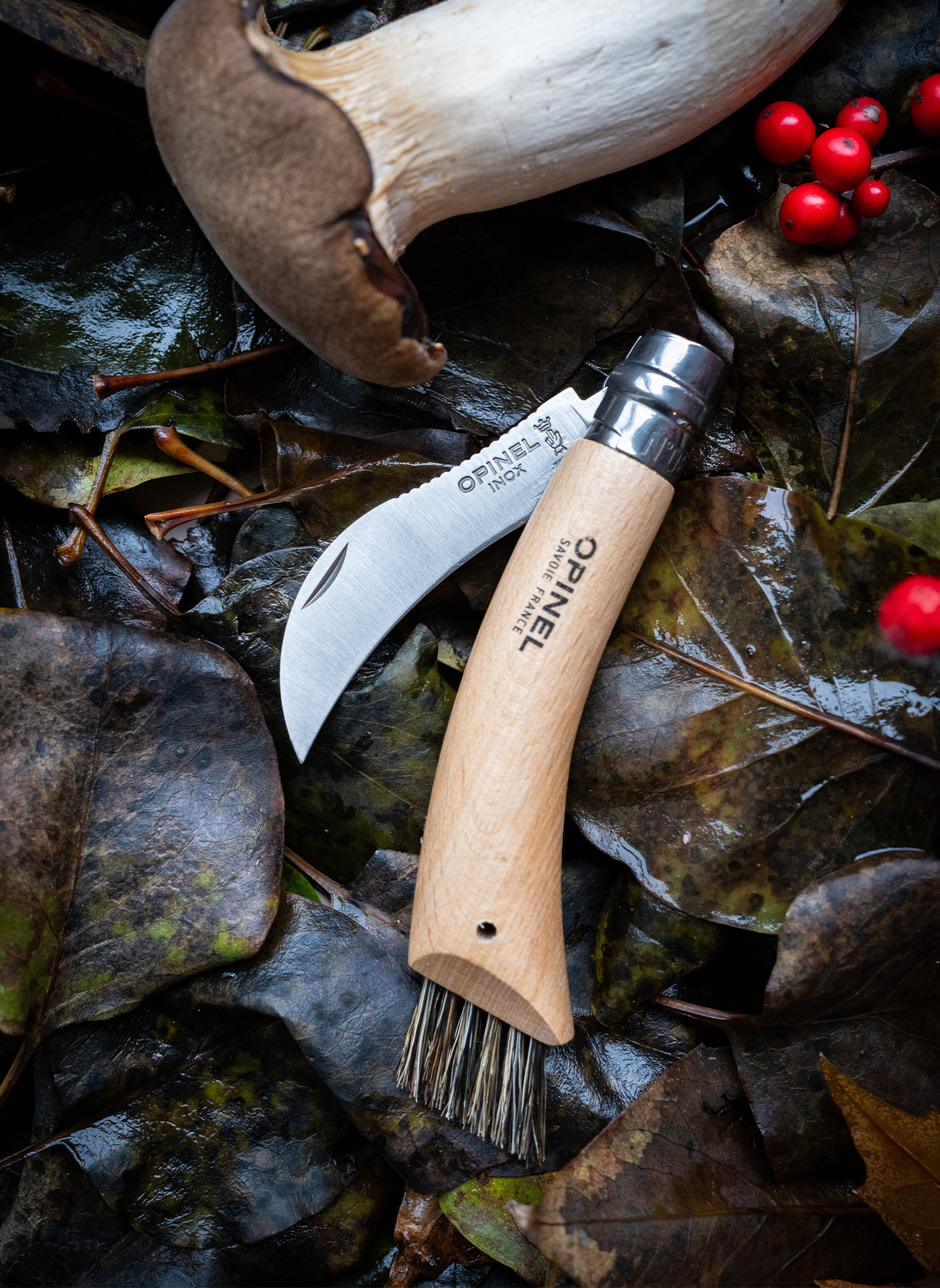 Couteau à champignon en acier inoxydable OPINEL Beige