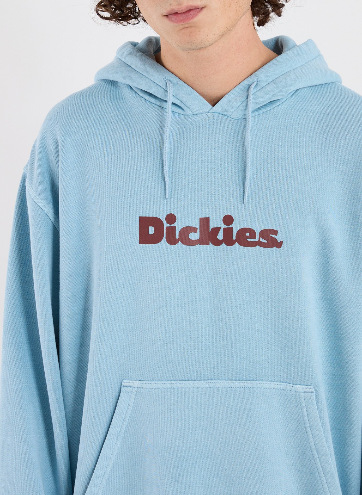 Cotton fleece-blend hoodie DICKIES Blue