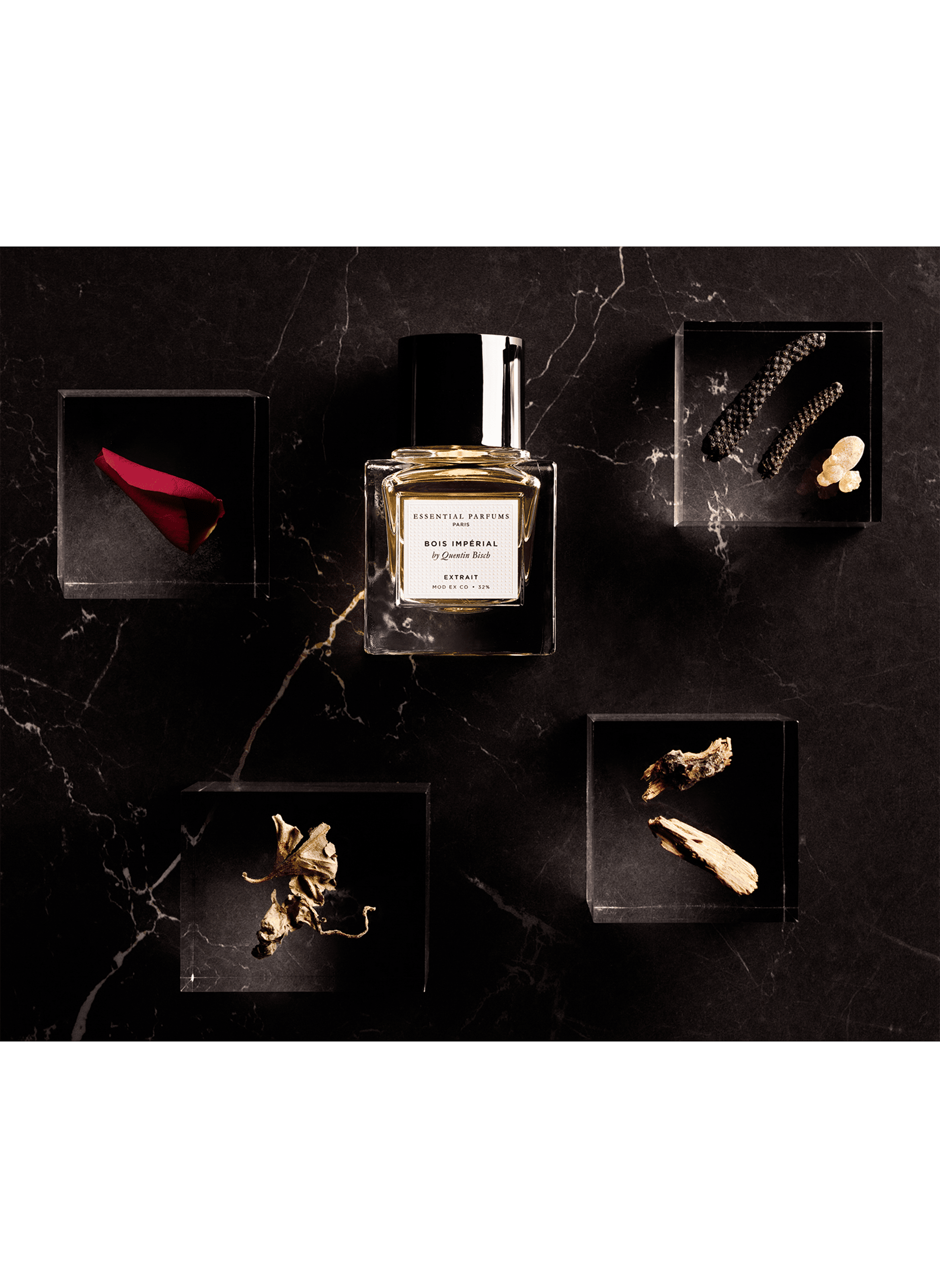 IMPERIAL WOOD by Quentin Bisch - Perfume Extract ESSENTIAL PARFUMS No color