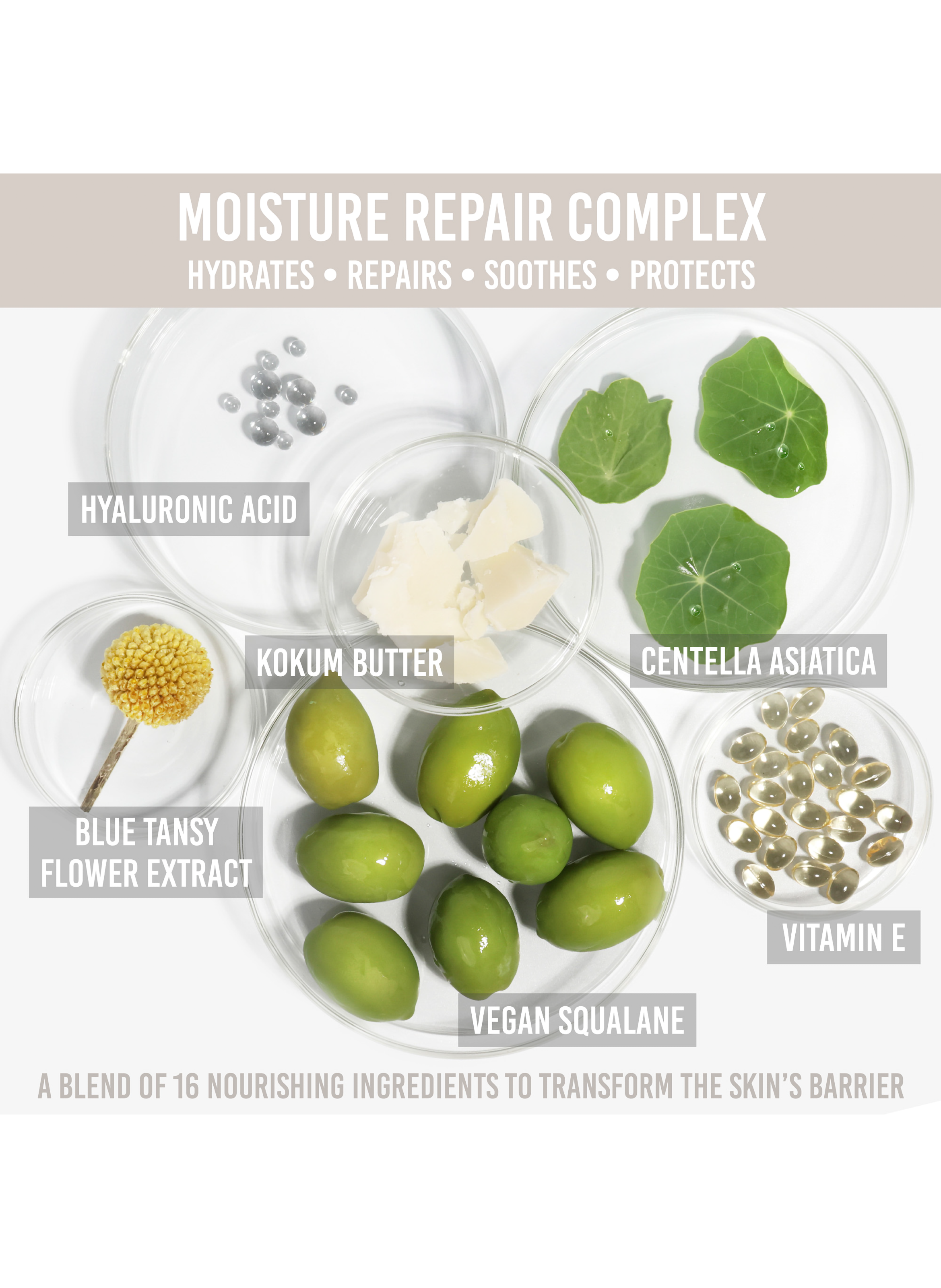 Yummy Skin Moisture Repair Balm Serum DANESSA MYRICKS No color