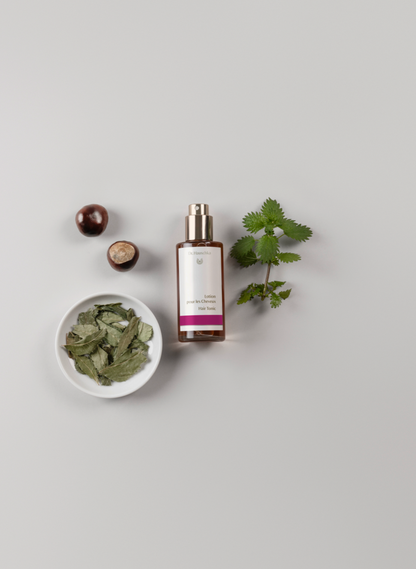 Haarlotion DR HAUSCHKA No color