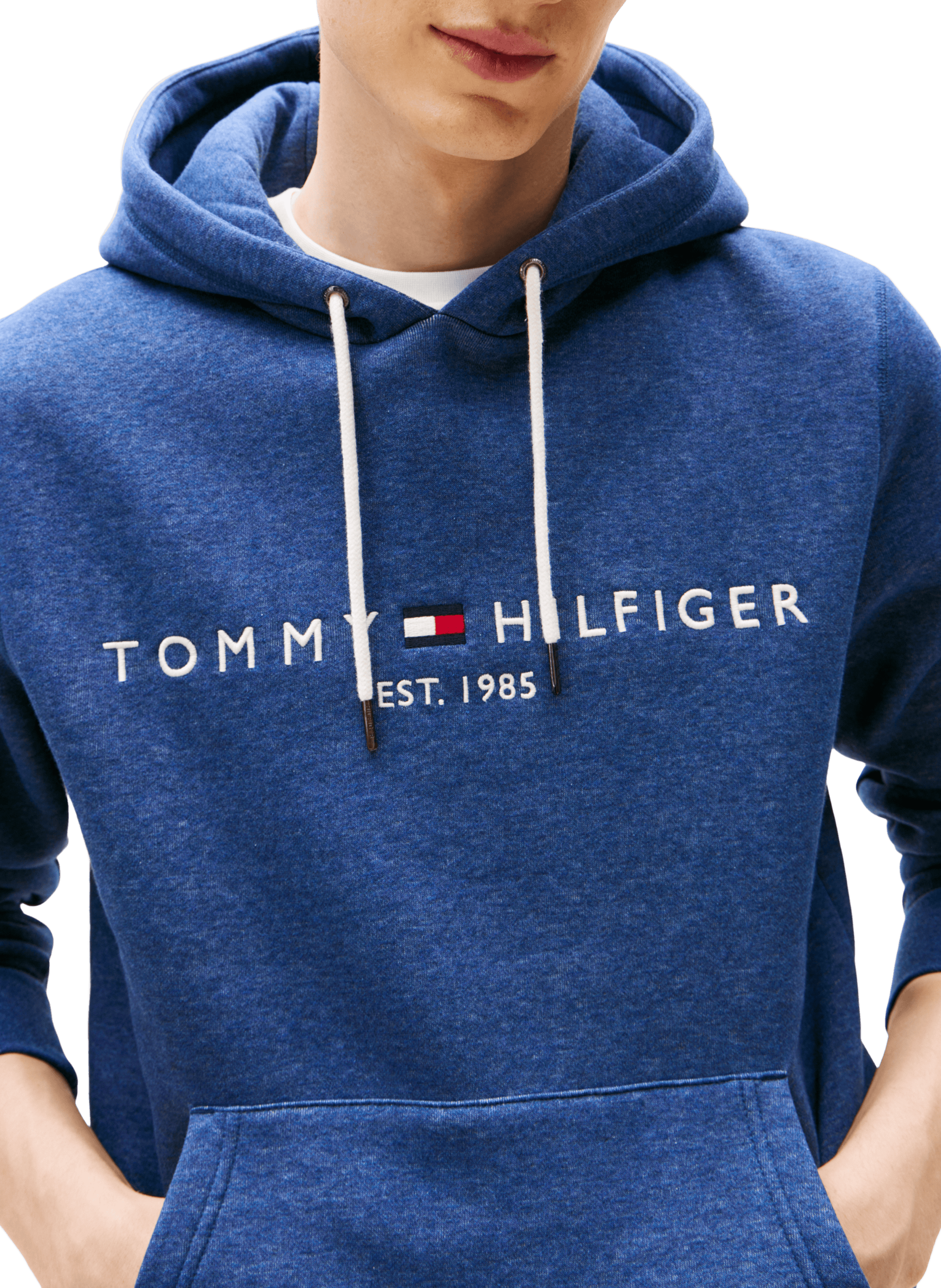 Cotton hoodie TOMMY HILFIGER Blue