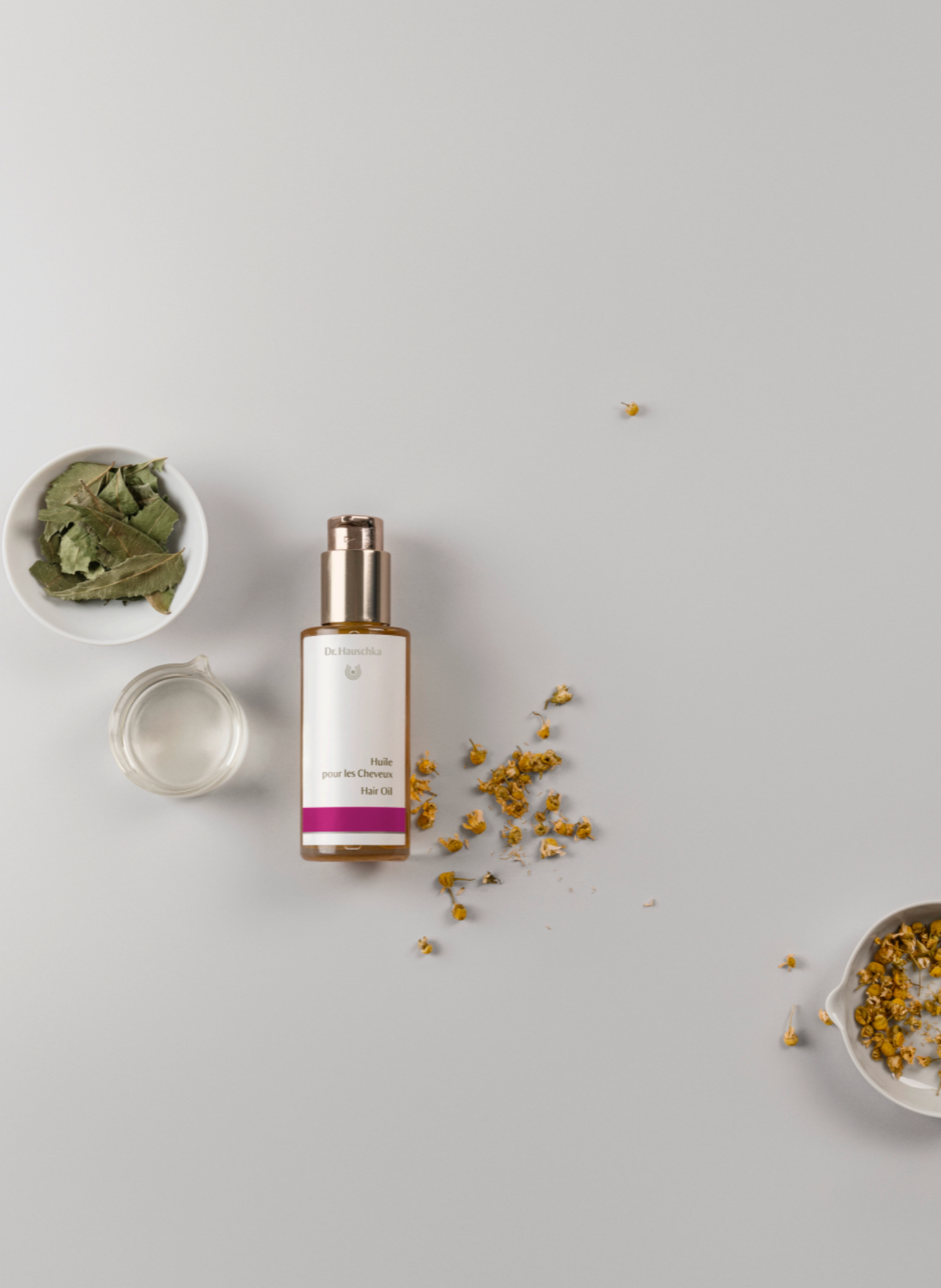Haaröl DR HAUSCHKA No color