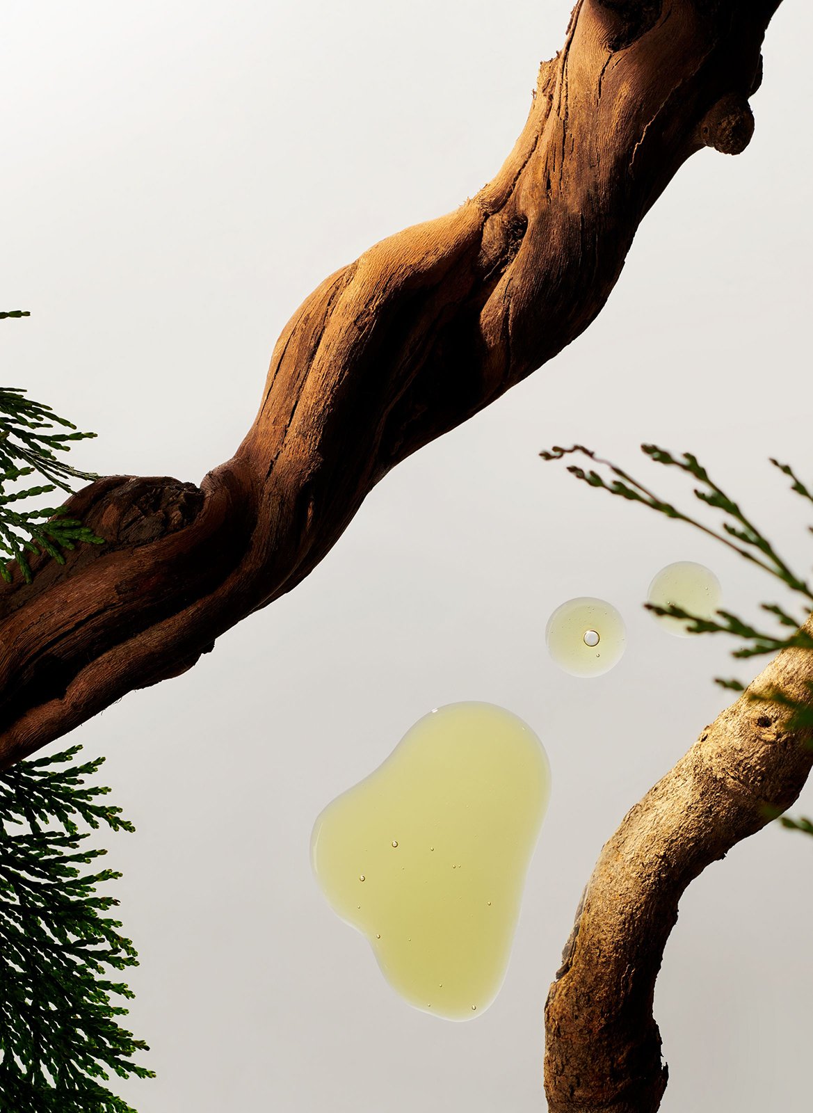 Homme - Shampoing Fortifiant RITUALS No color