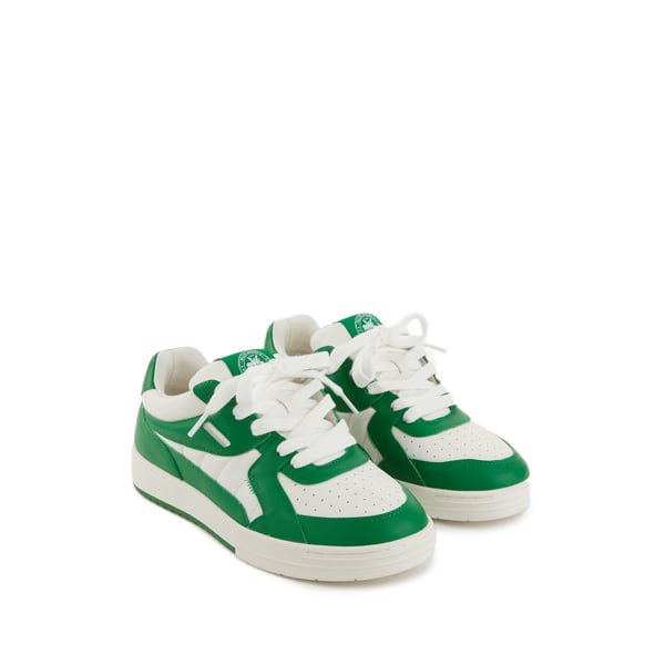 Basket Palms University