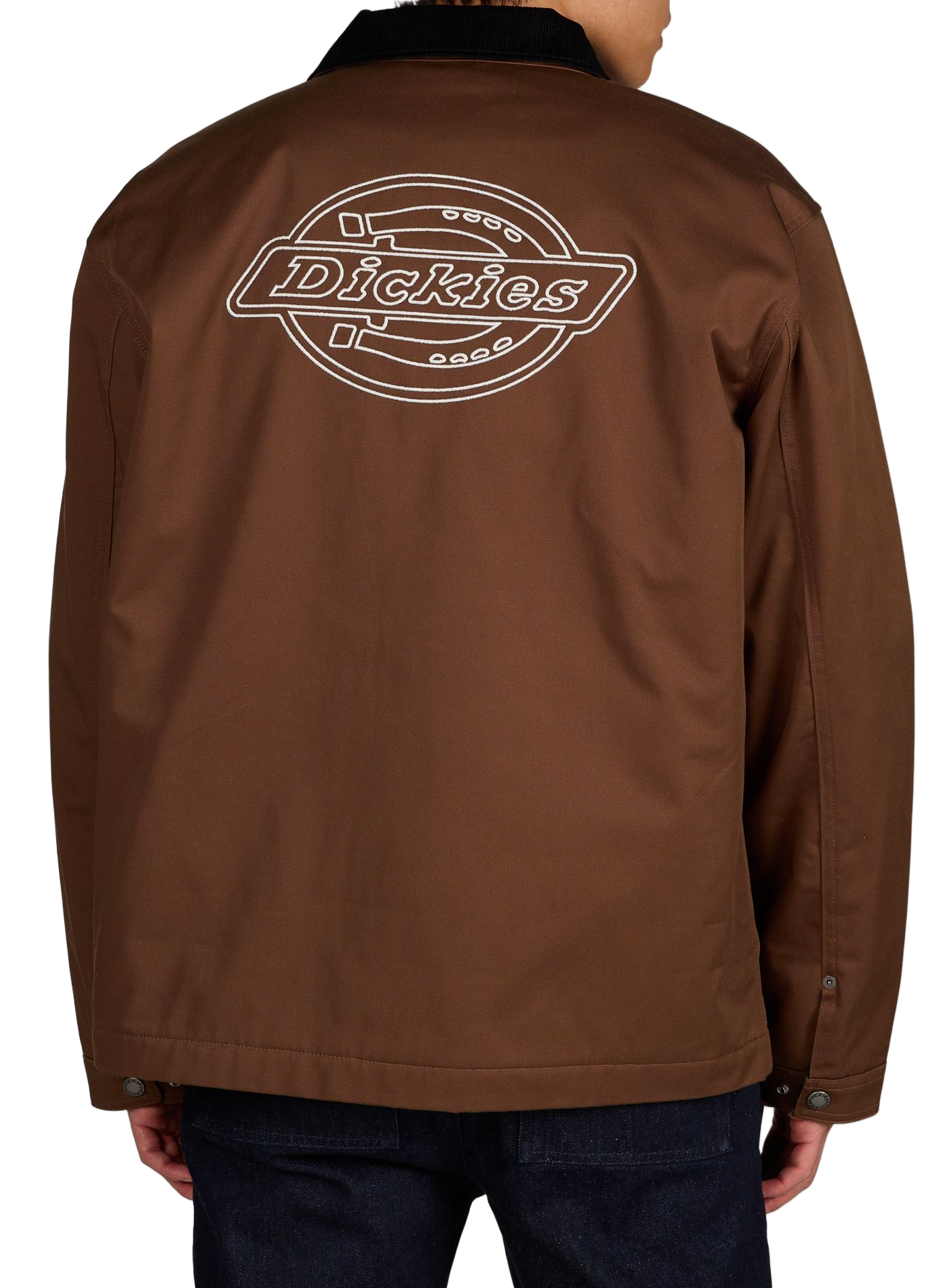 Veste large unie à col velours côtelé DICKIES Marron