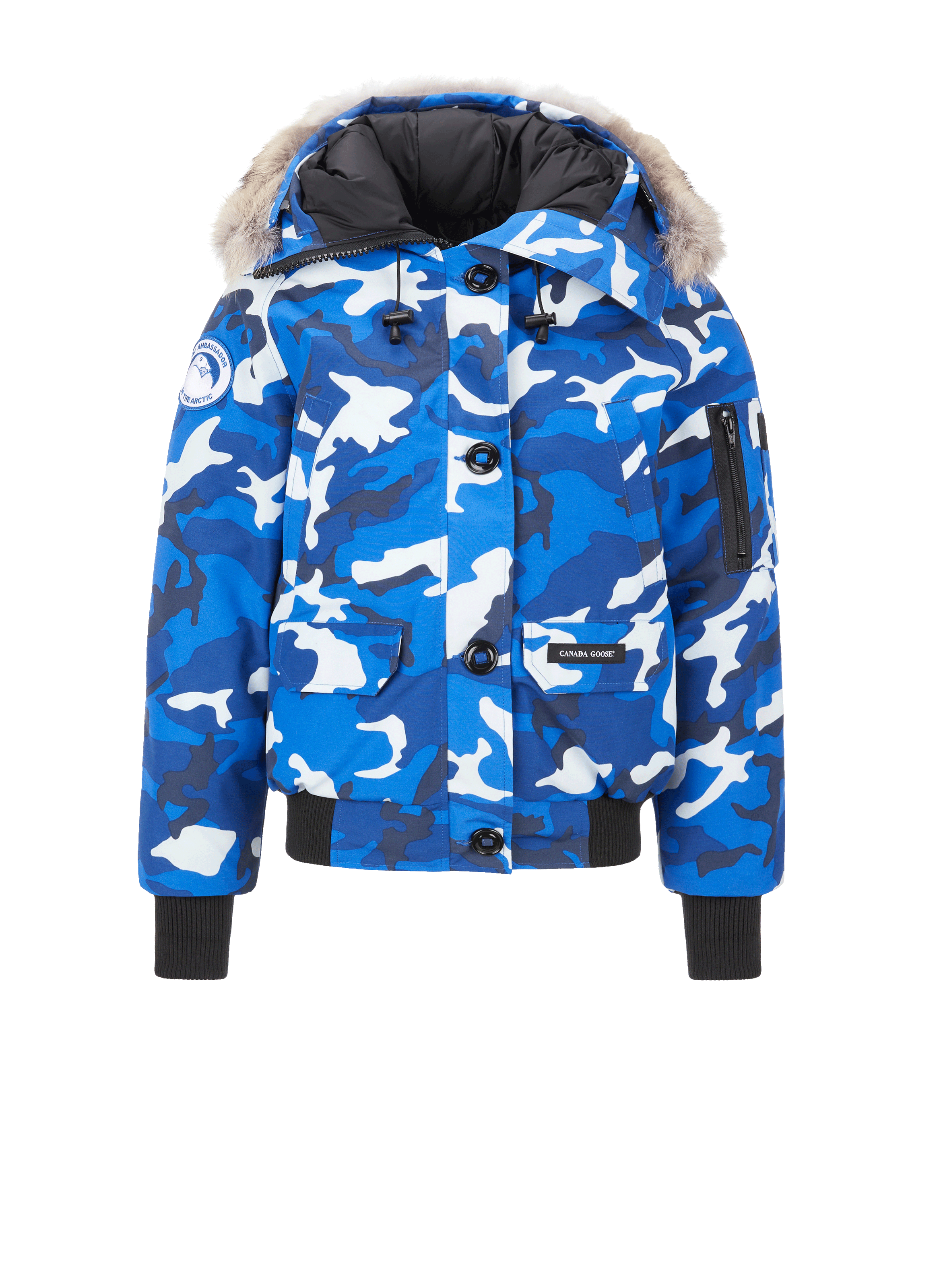 Imprimé blouson aviateur Chilliwack PBI