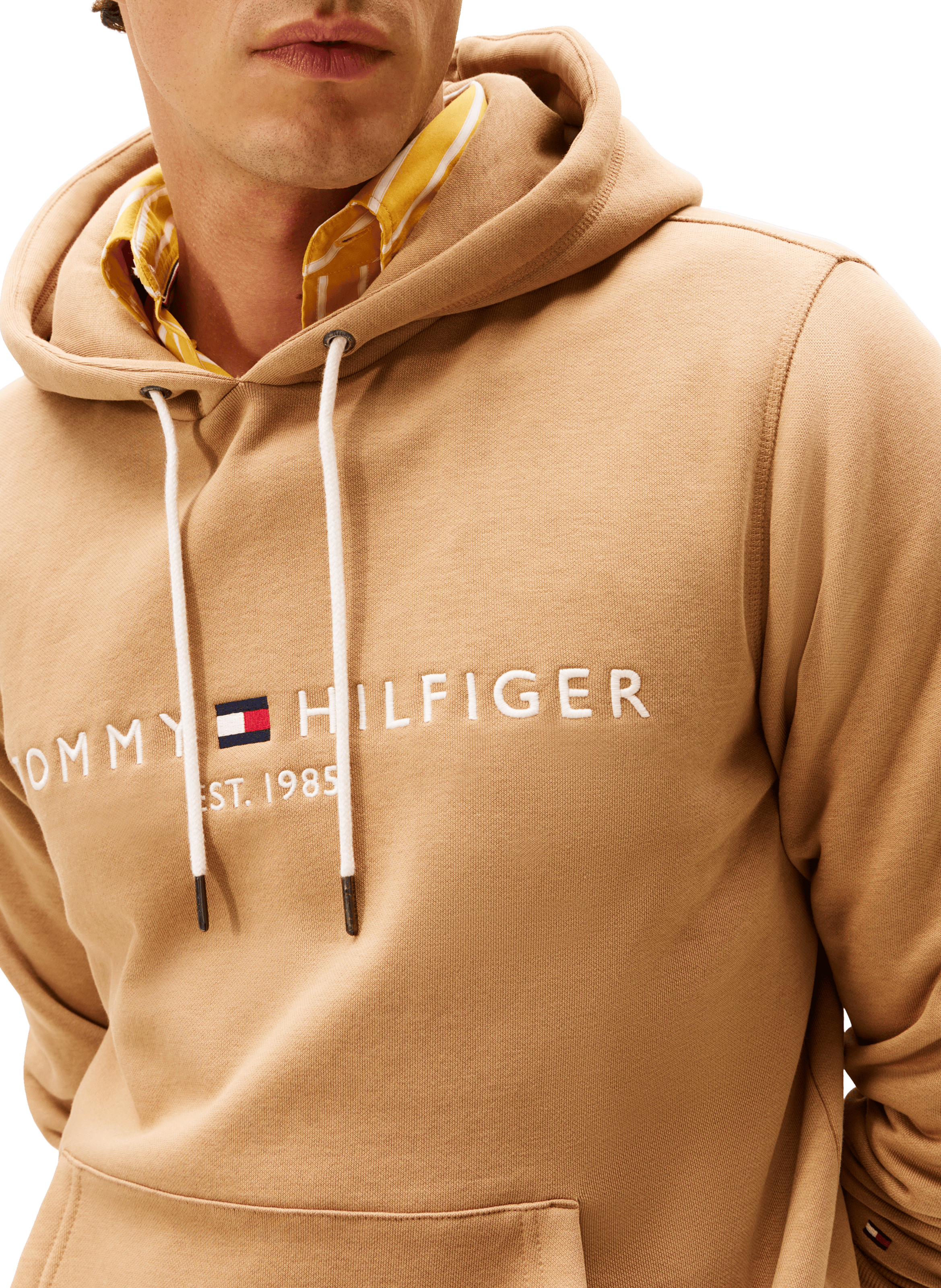 Cotton hoodie TOMMY HILFIGER Brown
