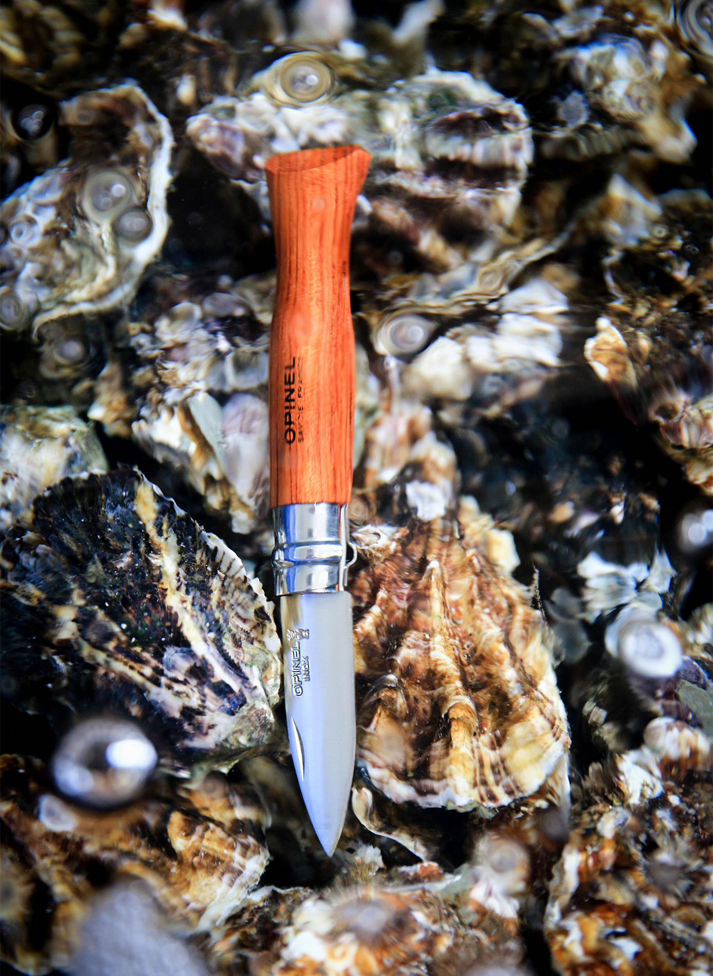 Couteau à huitre en acier inoxydable OPINEL Marron