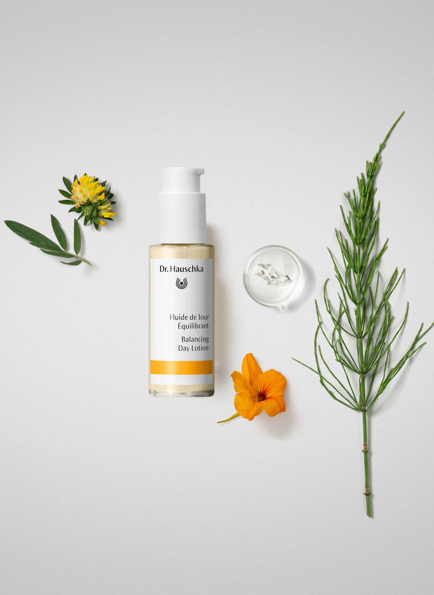 Fluide de jour équilibrant DR HAUSCHKA No color