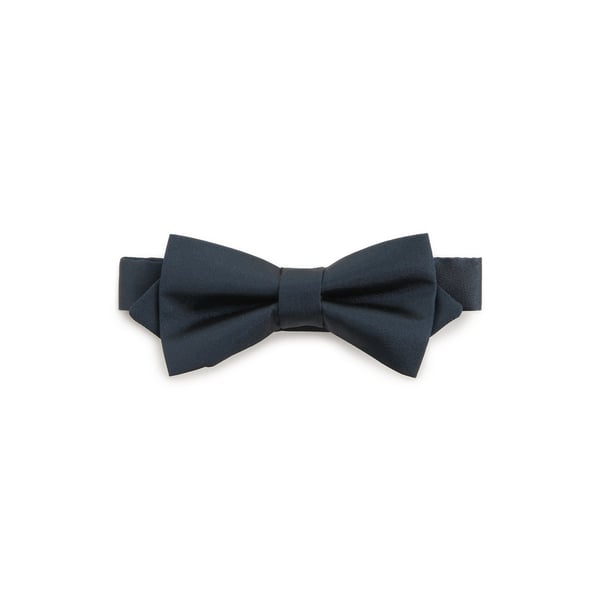 Noeud papillon en satin de soie Noeud papillon en satin de soie