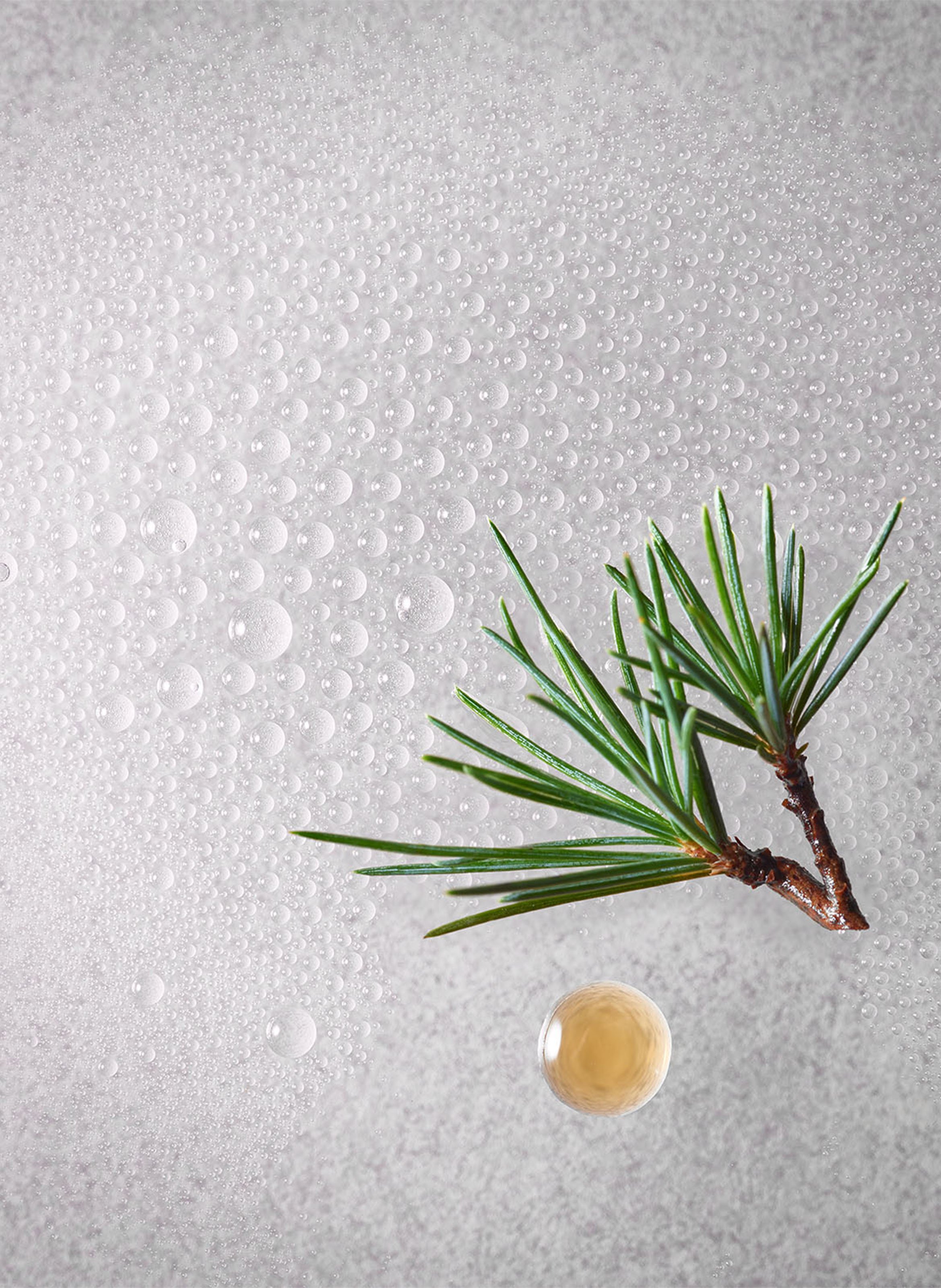 Homme - anti-perspirant spray RITUALS No color