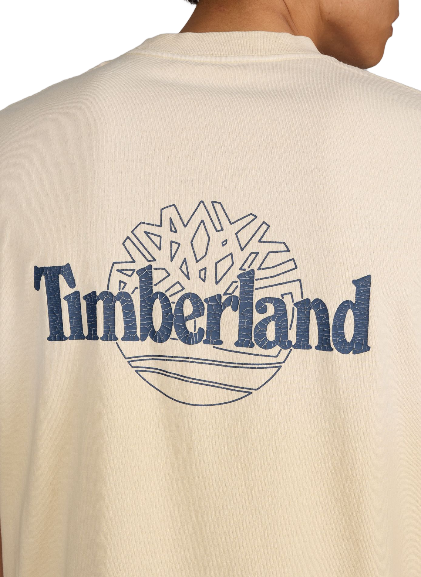 T-shirt imprimé à col rond en coton TIMBERLAND Beige