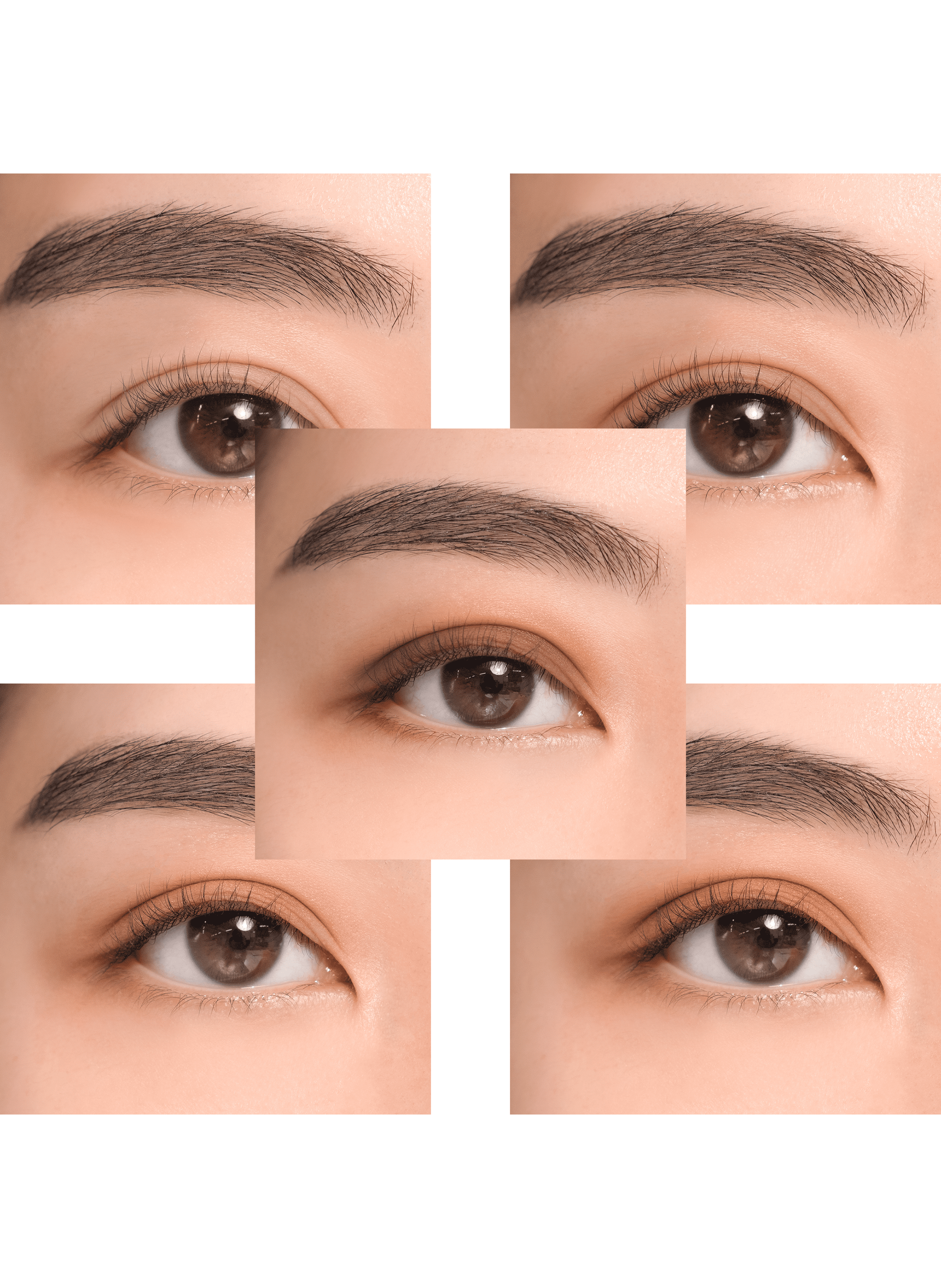 Better Than Palette - 02 Mahogany Garden ROM&amp;ND No color