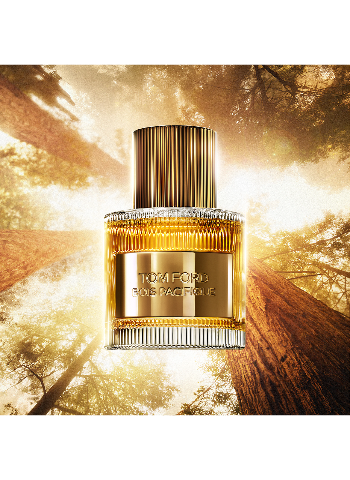 Pacific Wood - Eau de Parfum TOM FORD No color