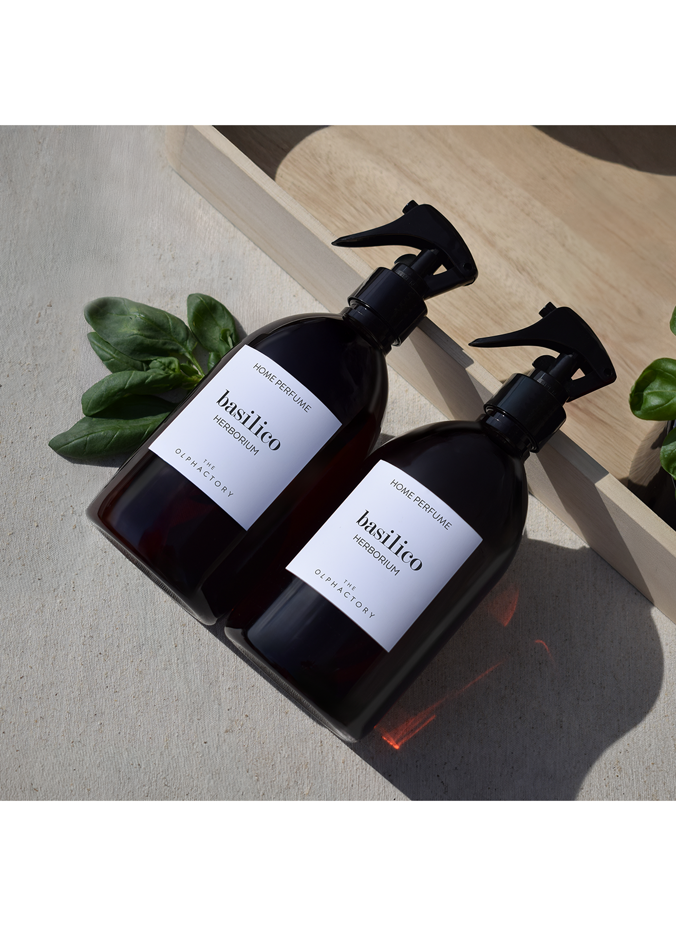 Spray d'intérieur Basilico 500ml OLPHACTORY Marron