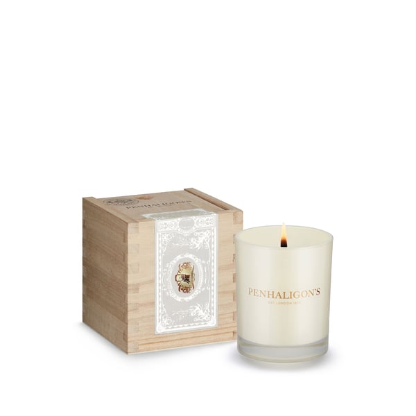 Bougie medium Ceylon Pekoe