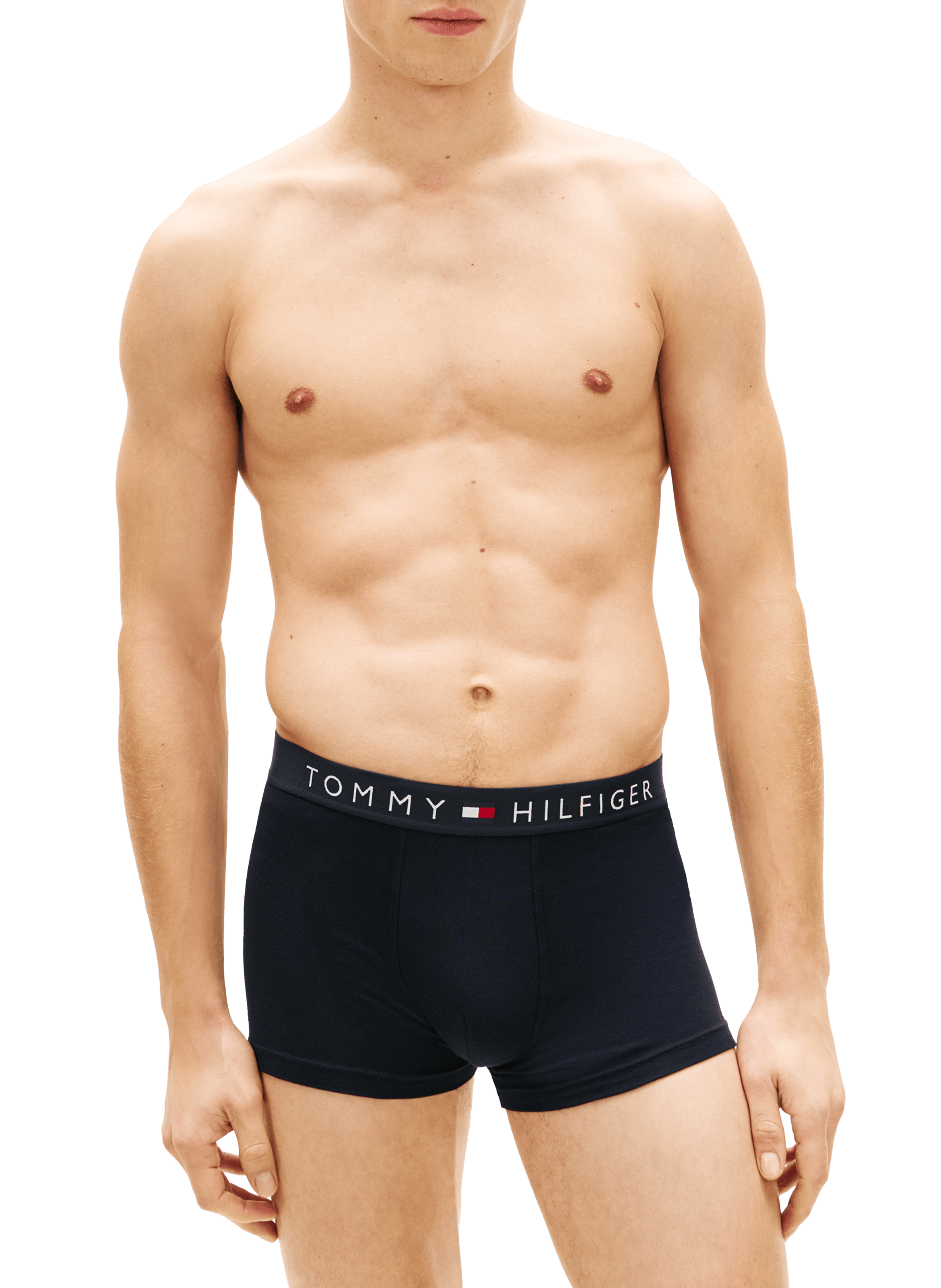 Lot de 3 boxers TOMMY HILFIGER Multicolore