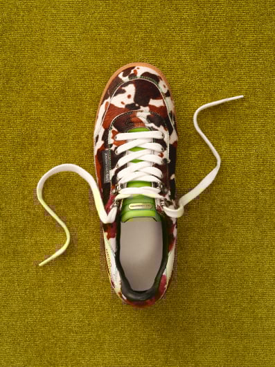 Image d'illustration