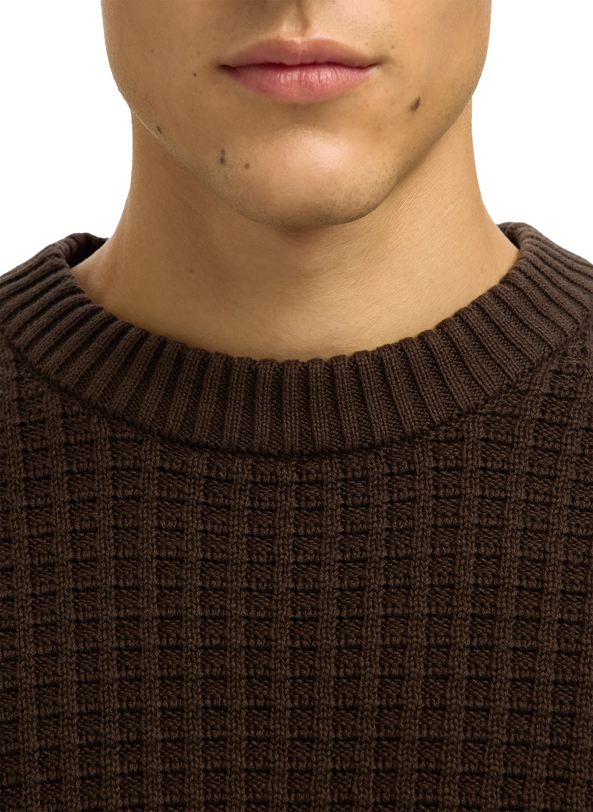 Pull col rond en coton SELECTED Marron