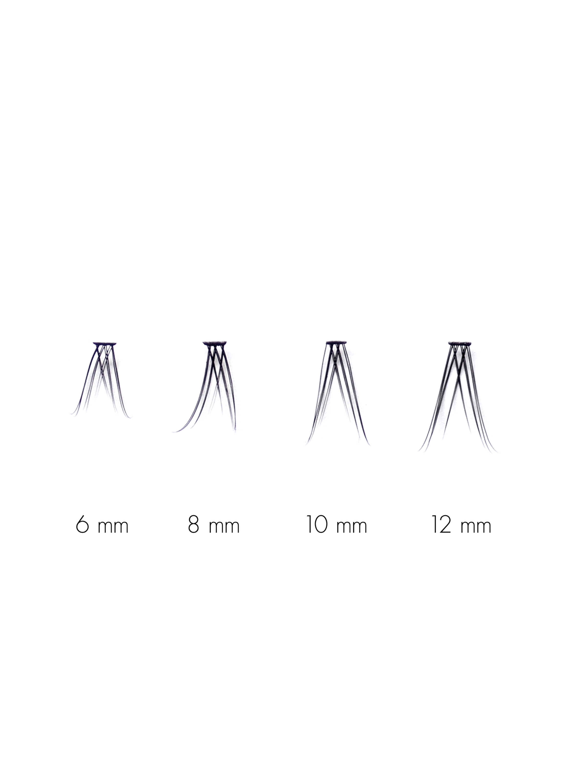 The Signature - No Lash-Lash SWEED No color