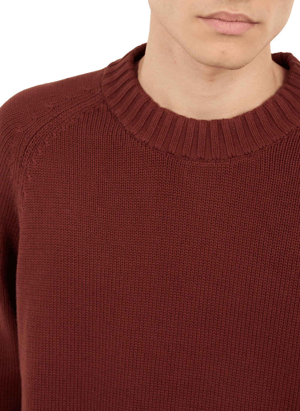 Pull Pann en maille en coton SAISON 1865 Marron