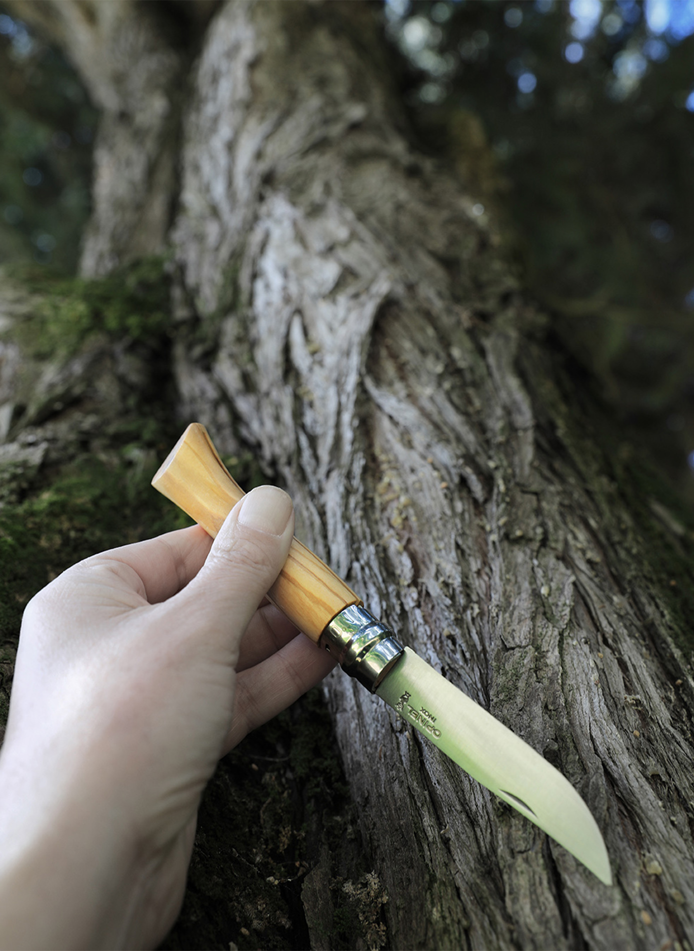 Couteau de poche en acier inoxydable OPINEL Marron