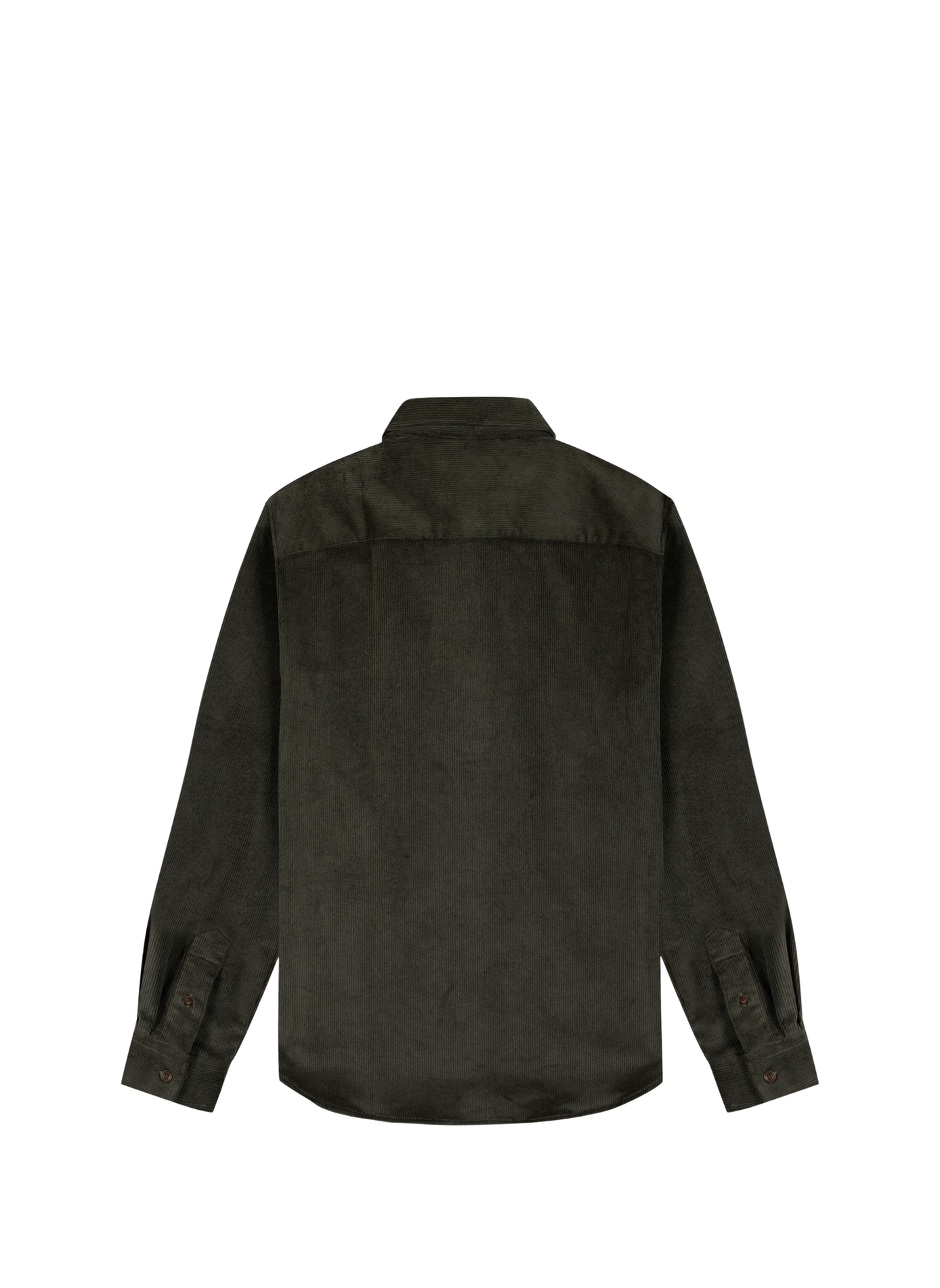 Straight shirt with buttoned collar in blended cotton MAISON LABICHE Green