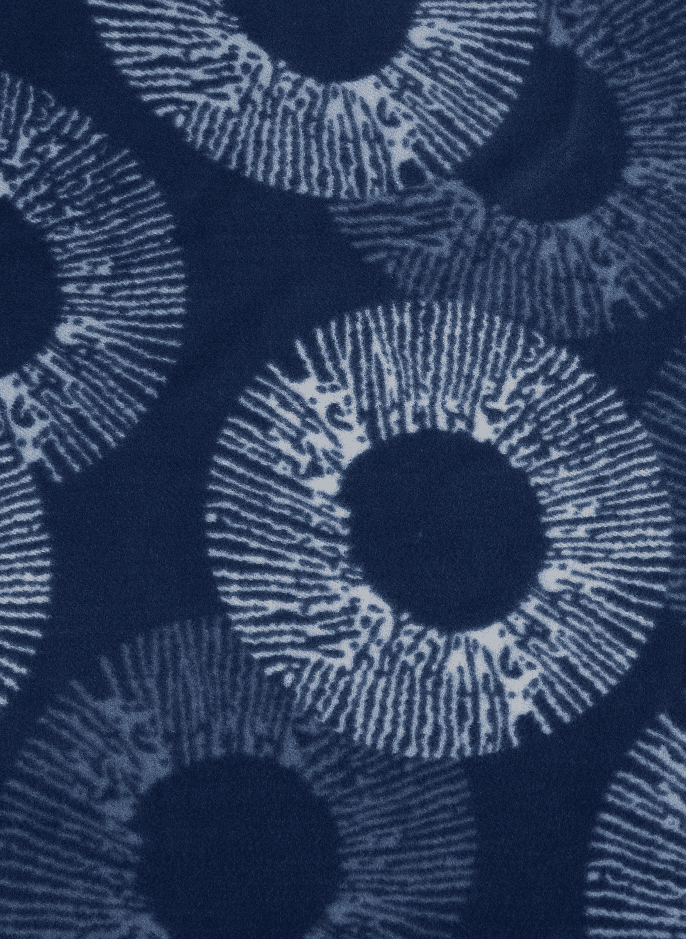 Echarpe à motif avec franges | Bleu AU PRINTEMPS PARIS Femme